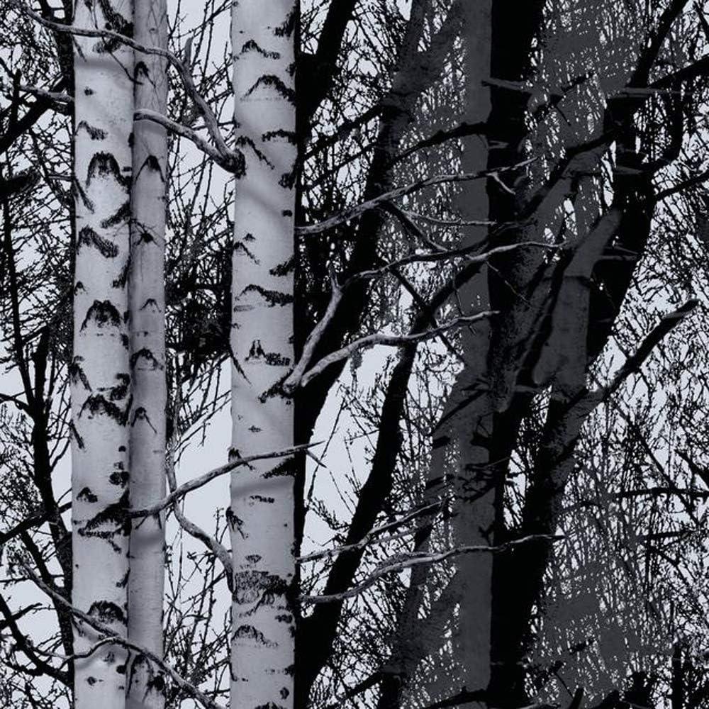 DC Fix Birch Wood Adhesive Film Self Adhesive Vinyl Wall Decal, 78.74-in by 17.7-in