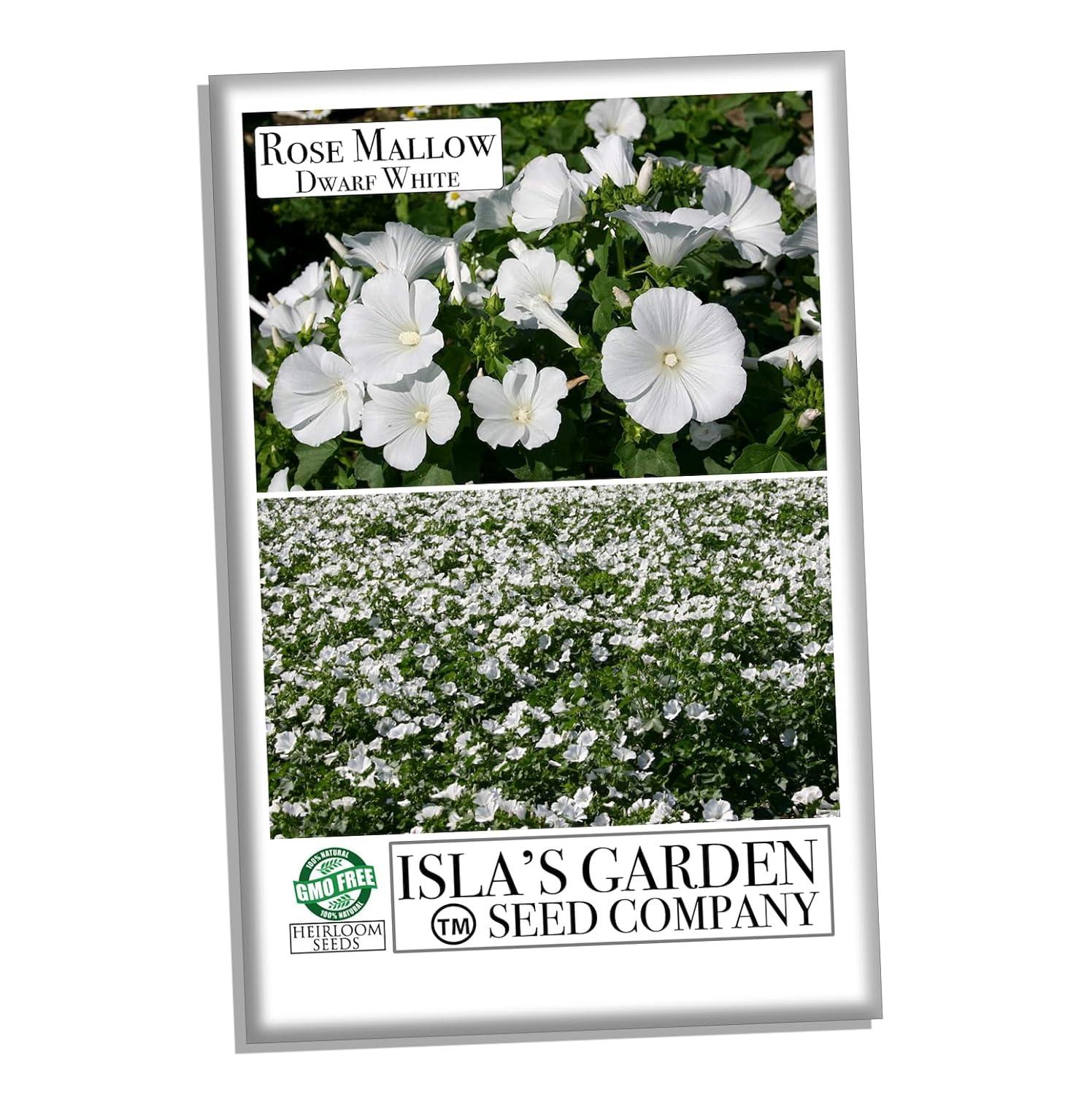 Dwarf White Rose Mallow Flower Seeds for Planting, 100+ Seeds Per Packet, (Isla's Garden Seeds), Non GMO & Heirloom Seeds, Botanical Name: Lavatera Trimestris, Great Home Garden Gift