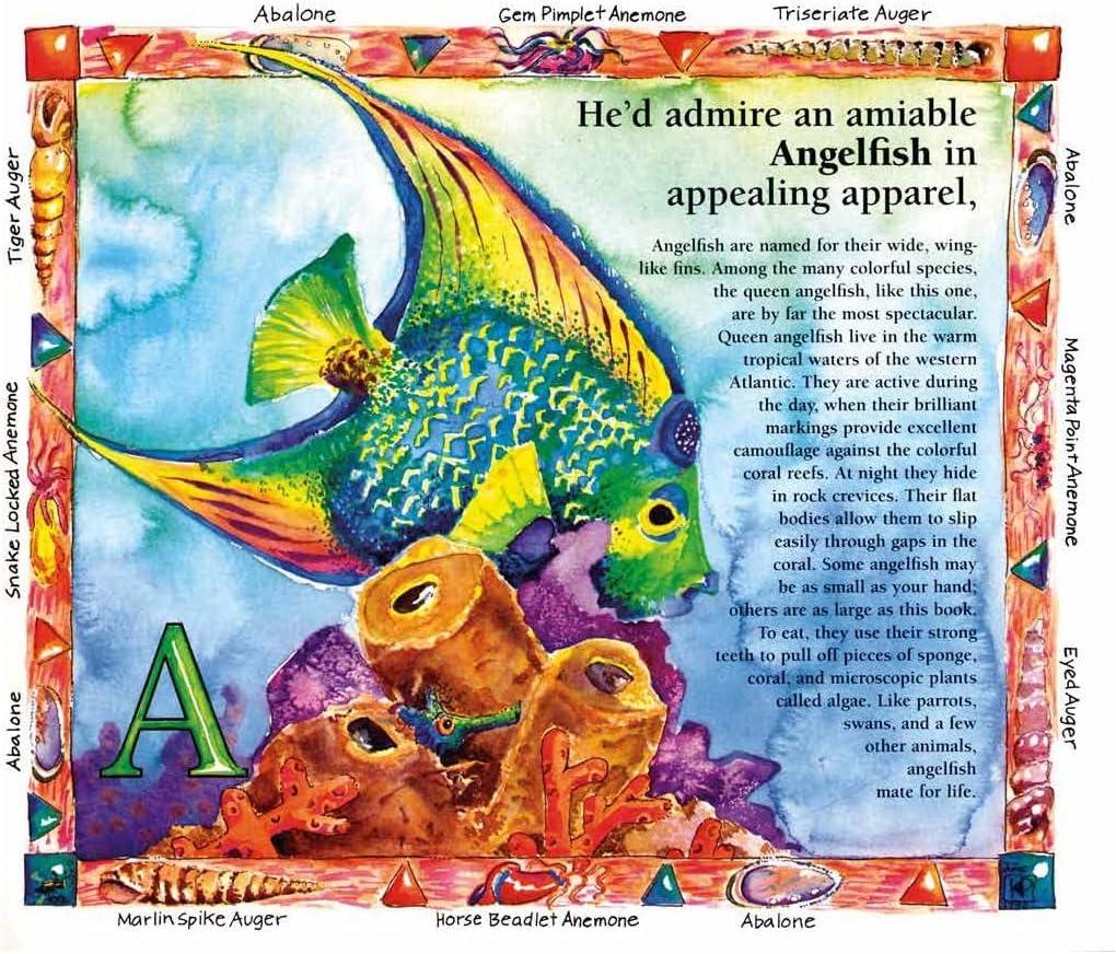 A Swim Through the Sea: Illustrated Non-fiction Kids' Book