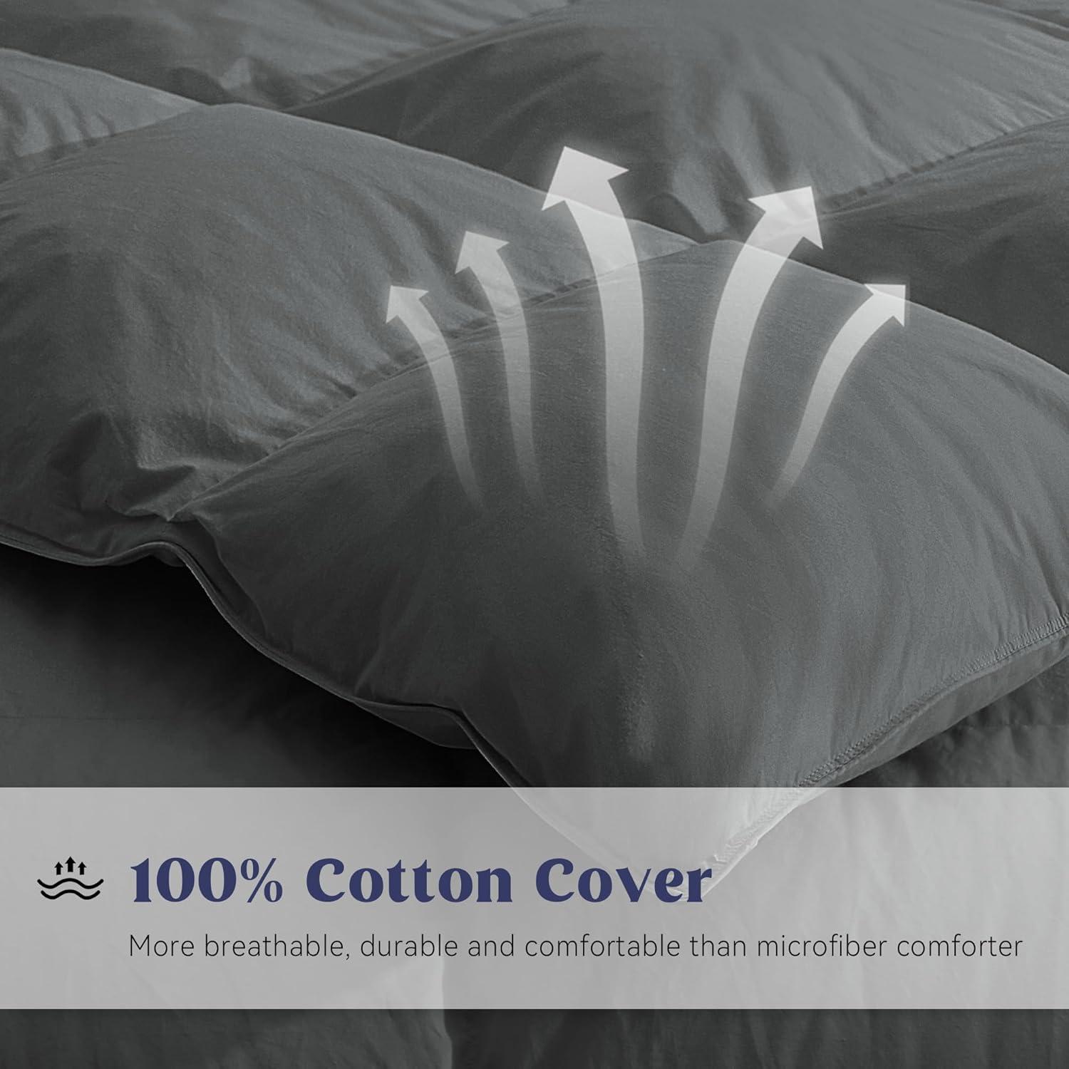 Alwyn Home 600 Fill Power All Seasons Down Comforter