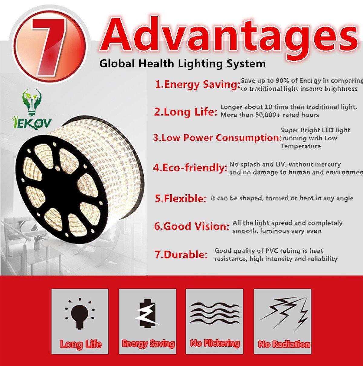 Warm White Color LED Strip Light, AC 110-120V Flexible/Waterproof/Multi-Modes Function/Dimmable SMD5050 LED Rope Light with Remote for Home/Office/Building Decoration (164ft/50m)