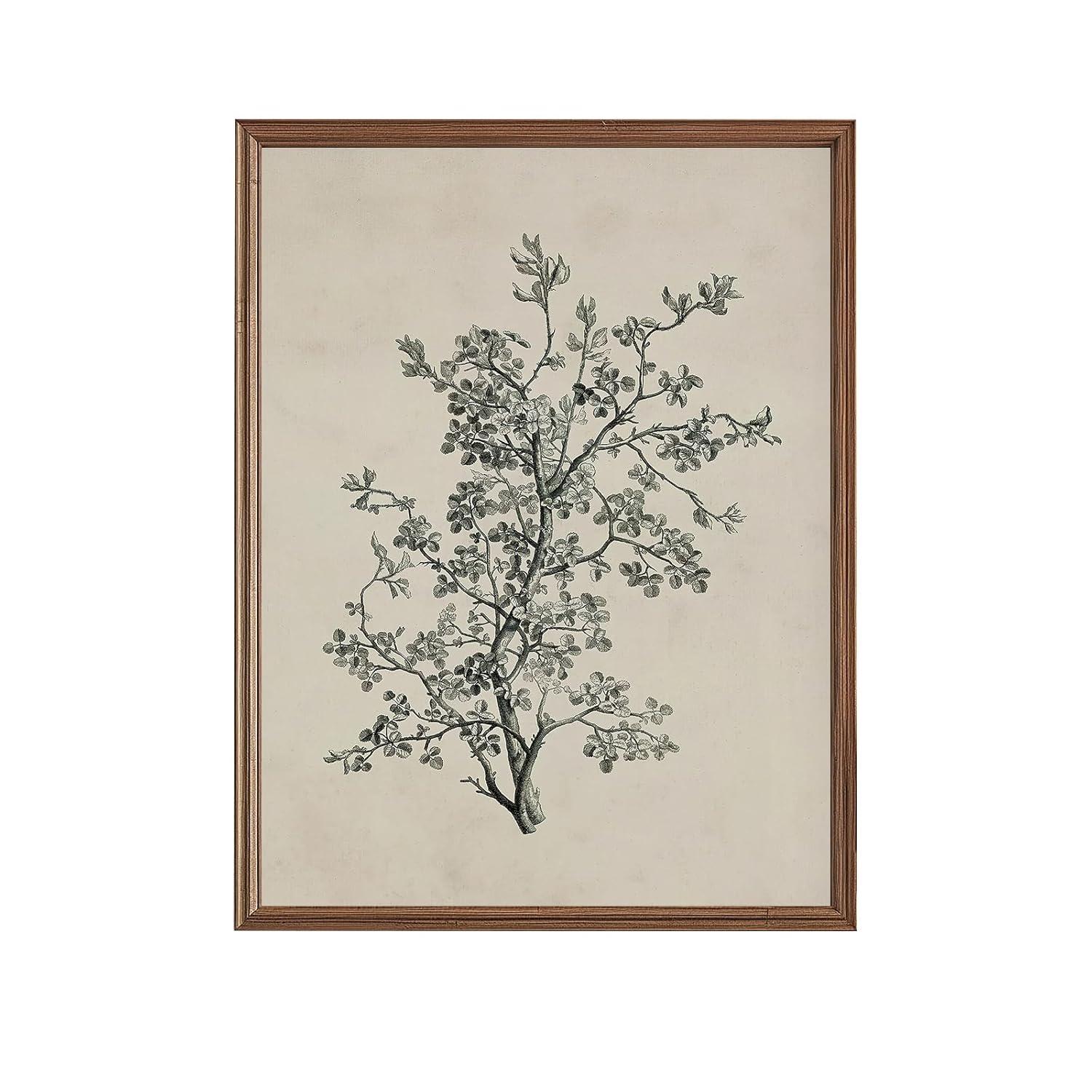 Vintage Botanical Wall Art Prints - Black and White Sketch Art Decor - Antique Pictures and Rustic Paintings for Living Room Bedroom - 12"x16" Unframed