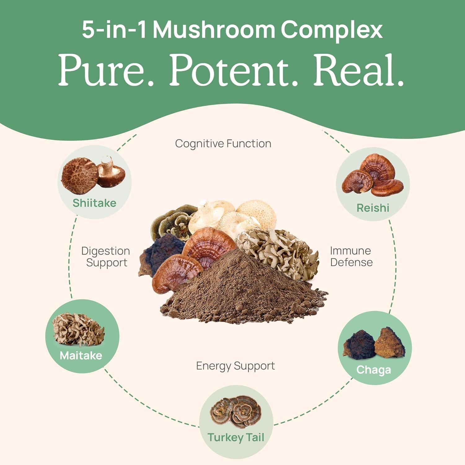 Real Mushrooms 5 Defenders, Organic Mushroom Extract Powder, 1.59 oz (45 g)