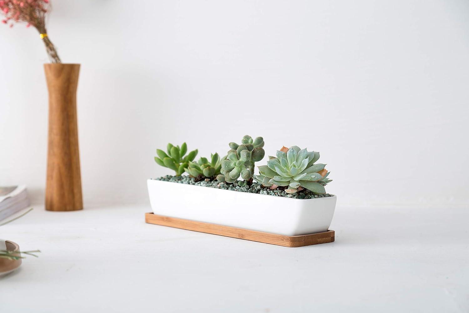 White Ceramic Rectangular Succulent Planter with Bamboo Saucer