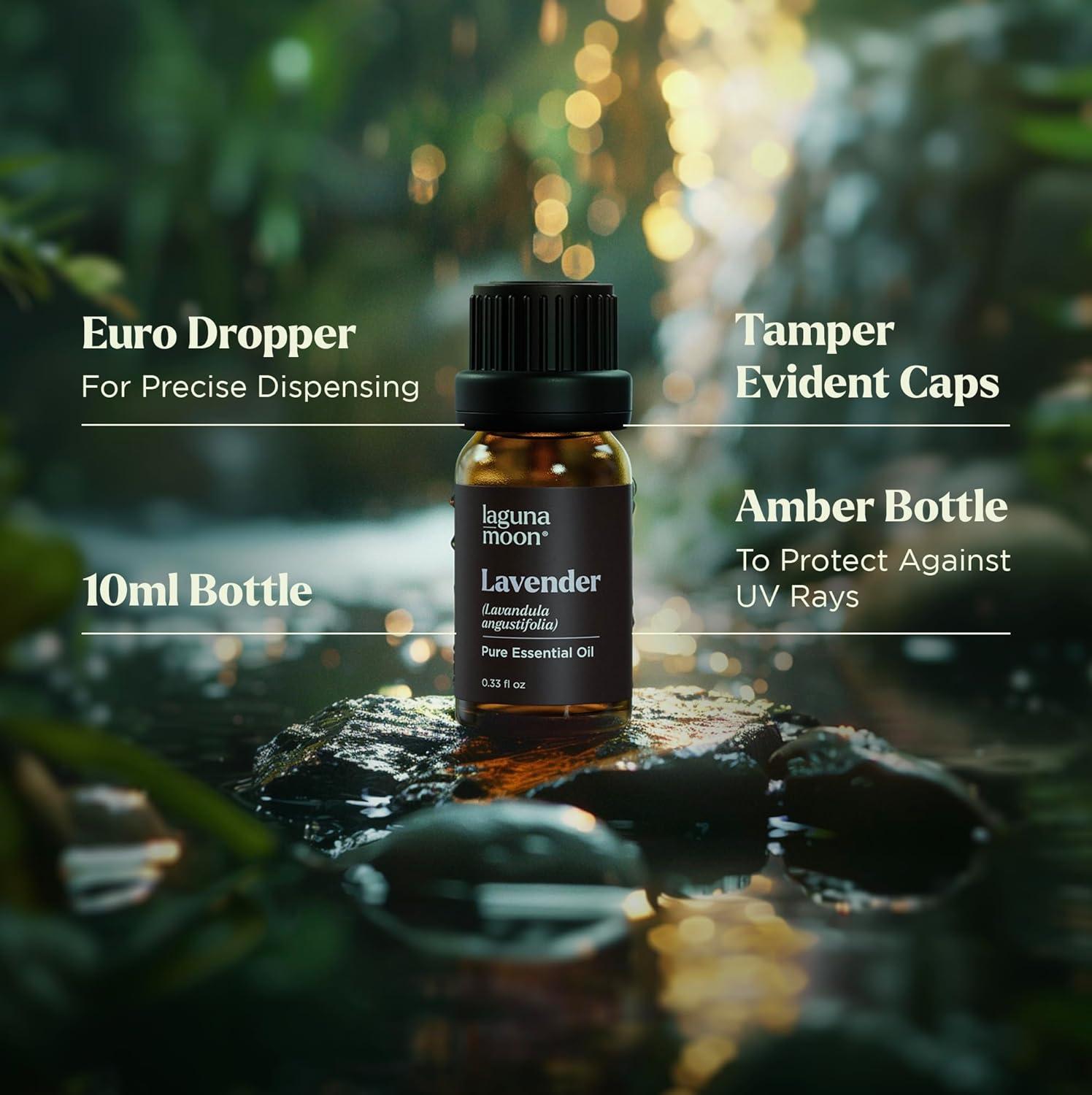 Essential Oils Set - Top 6 Blends for Diffusers, Home Care, Candle Making Scents, Fragrance, Aromatherapy, Humidifiers, Gifts - Peppermint, Tea Tree, Lavender, Eucalyptus, Lemongrass, Orange (10mL)