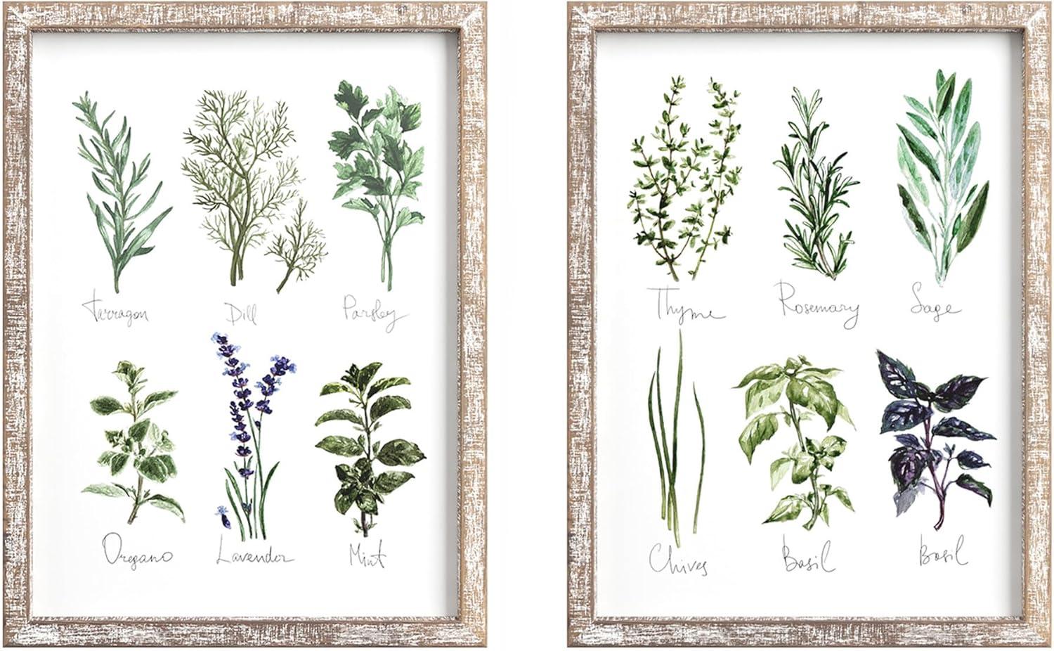 Barnyard Designs Kitchen Herbs and Spices Wall Art Decor Botanical Print Sign Rustic Country Farmhouse Wood Plaque Framed Home Wall Decor 12" x 16" (Herbs B / 1 Sign)