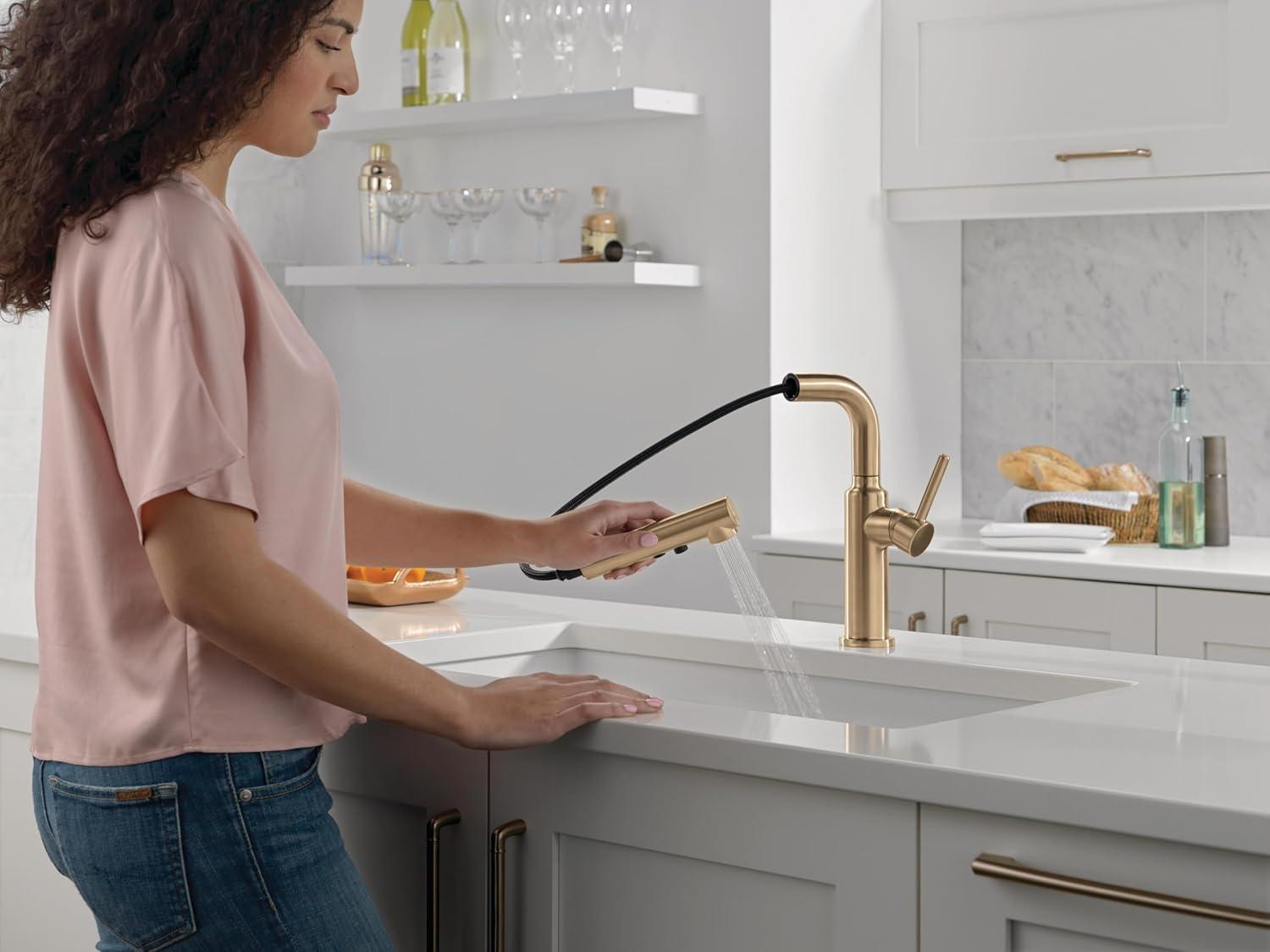 Daneri Pull-Out Sprayer Kitchen Faucet, Single Handle Kitchen Sink Faucet