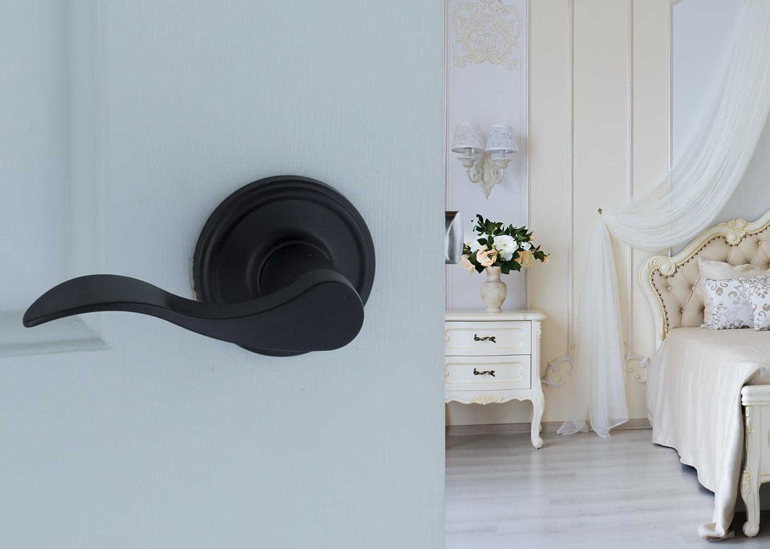 Waverlie Black Passage Hall/Closet Door Handle