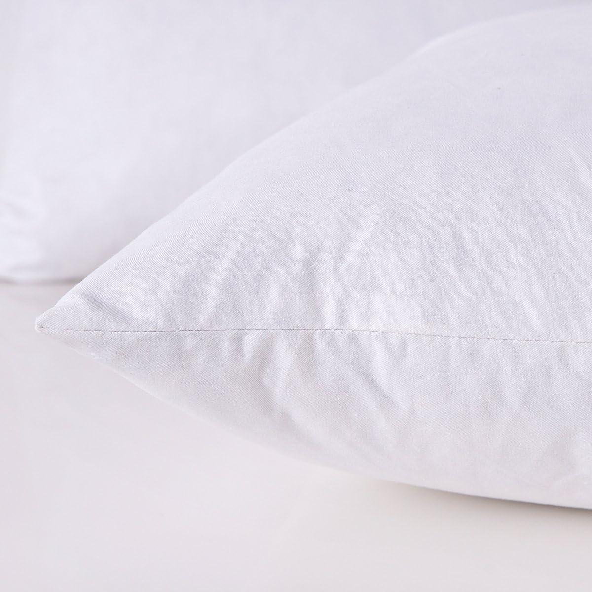 Phantoscope 12" x 20" Reversible Pillow Inserts (Set of 2)
