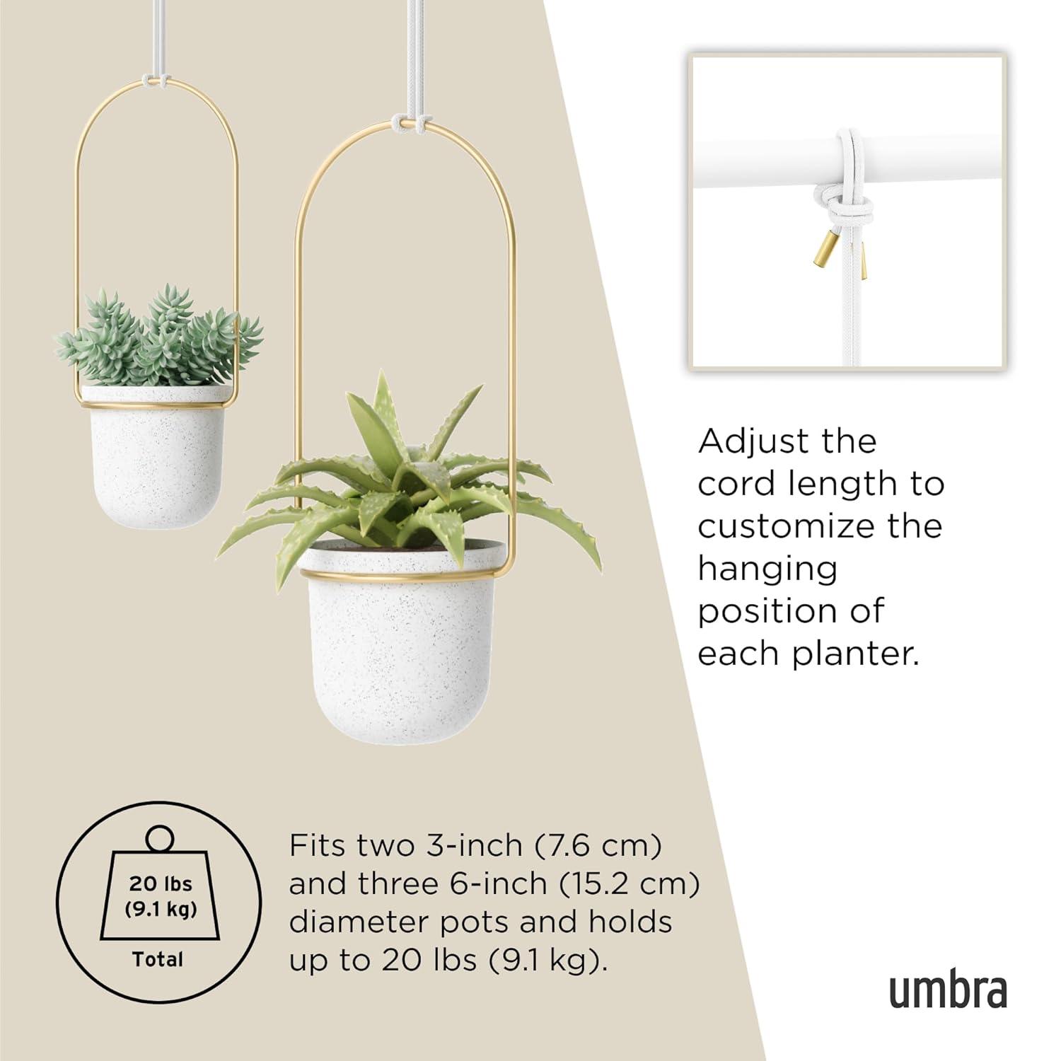 Umbra Hanging Planter