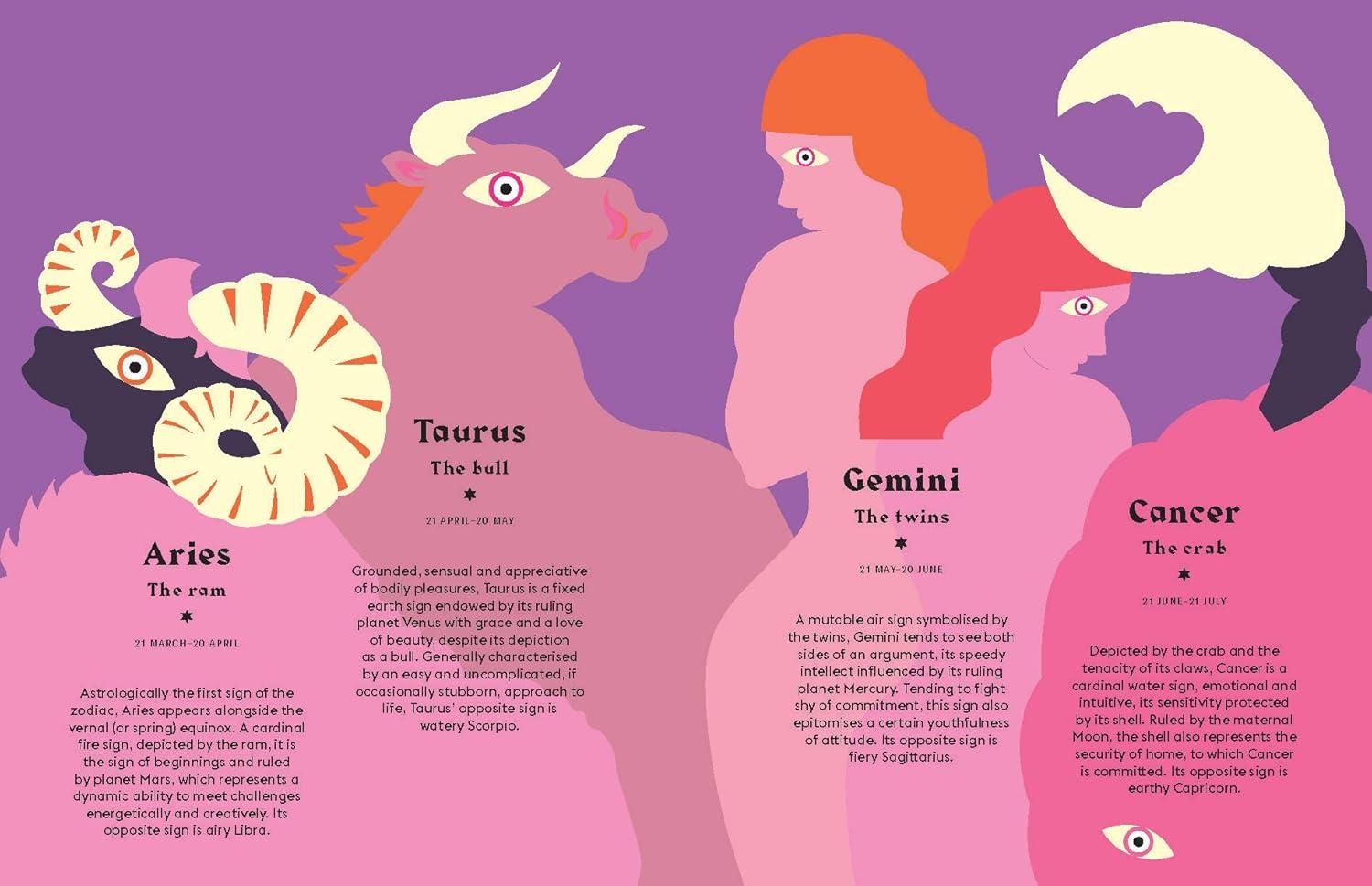 Virgo - (Hg Seeing Stars) by  Stella Andromeda (Hardcover)