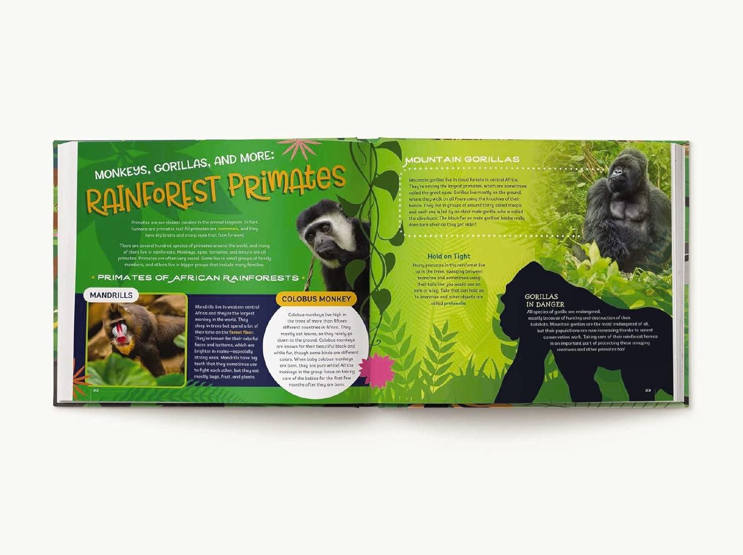 Your Bedroom is a Rainforest! Glow-in-the-Dark Animal Stickers Book