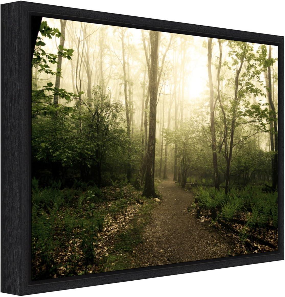 Amanti Art Appalachian Trail by Andy Magee Framed Canvas Wall Art