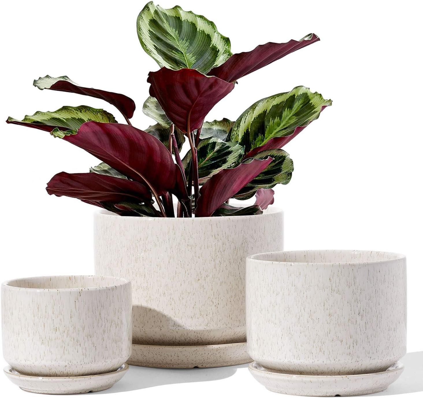 Reactive Glaze Beige Ceramic Planter Set with Drainage, 3-Piece