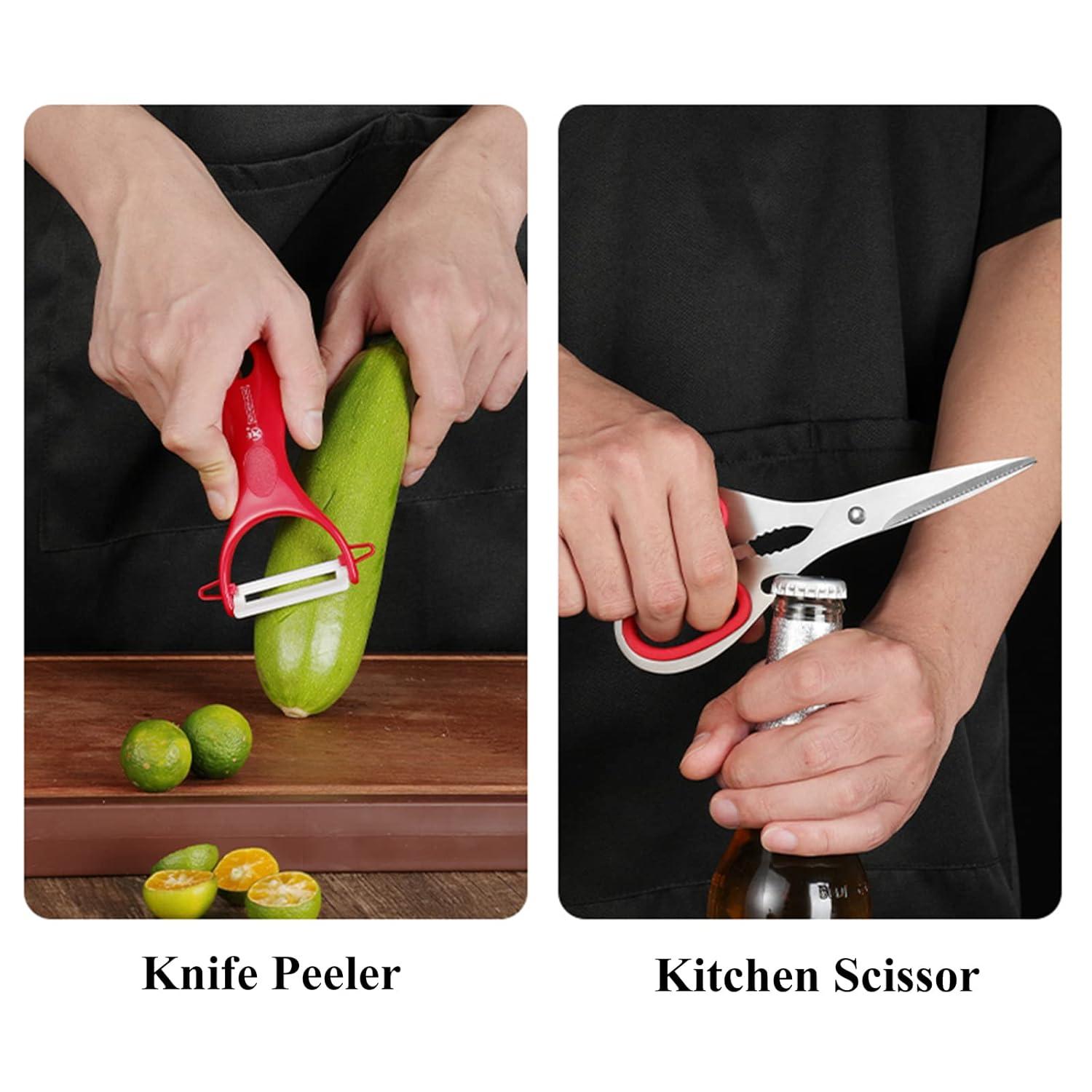 Red Stainless Steel 9-Piece Professional Kitchen Knife Set with Acrylic Holder