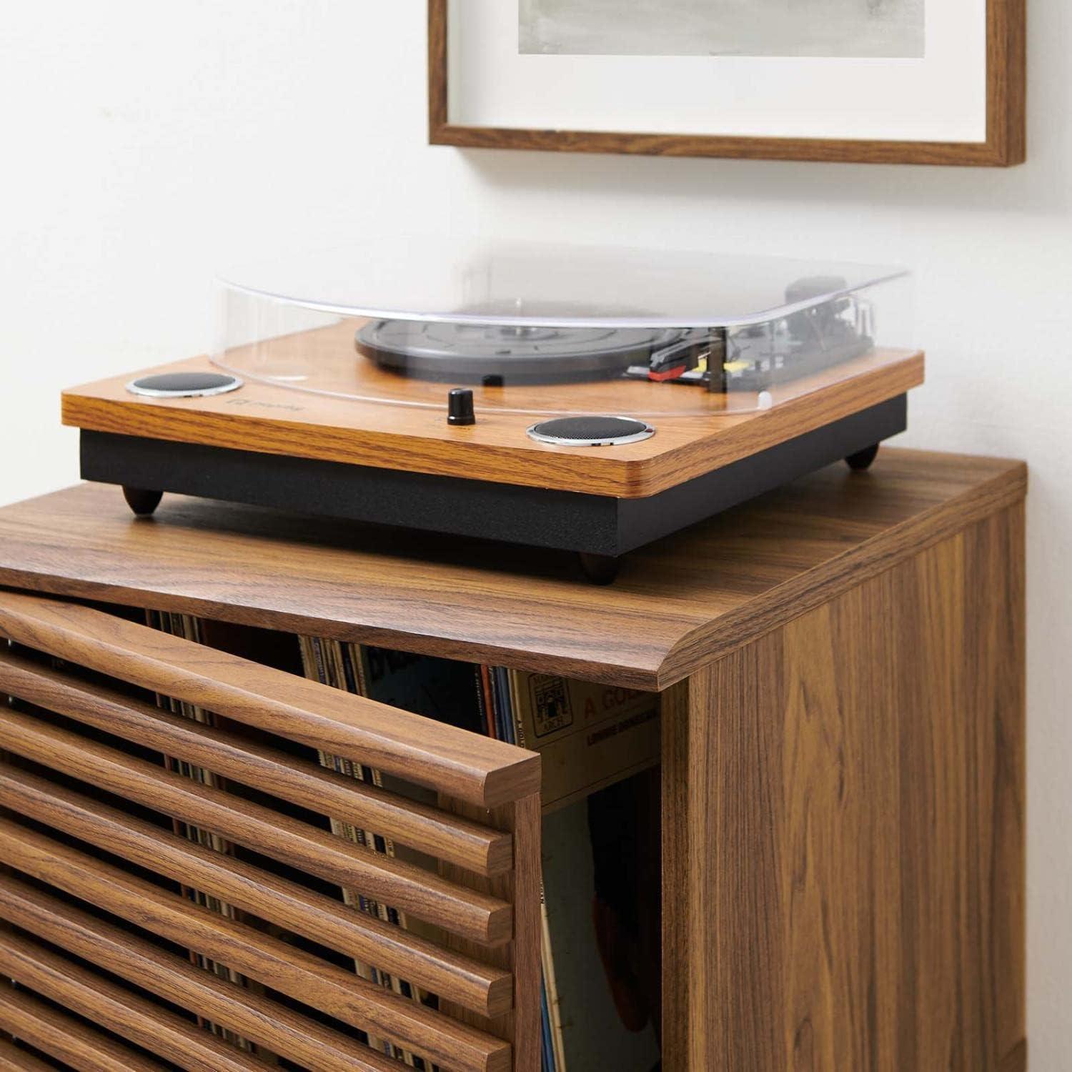 Walnut Mid-Century Modern Vinyl Record Display Stand with Hinged Door