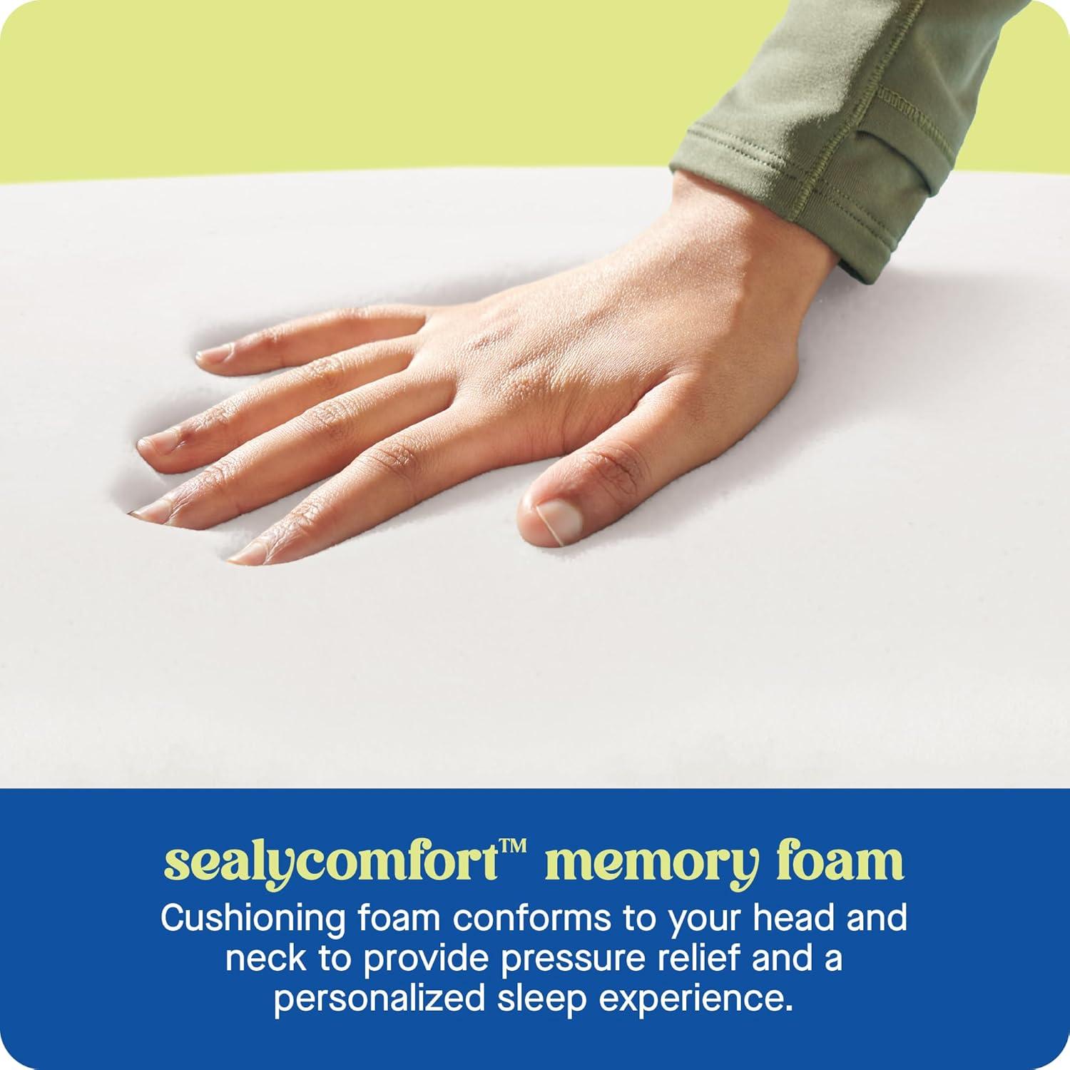 Sealy Dreamlife Memory Foam Pillow