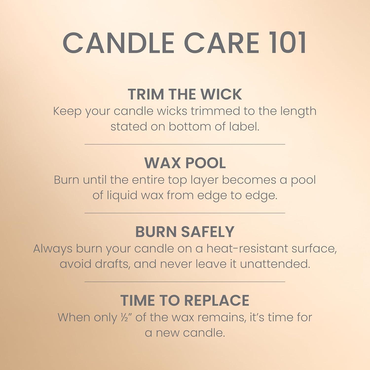 Yankee Candle Studio Scented Candle, Vanilla Crème Brûlée, Premium Plant Wax Blend, 10 oz Jar, Up to 50 Hour Burn Time