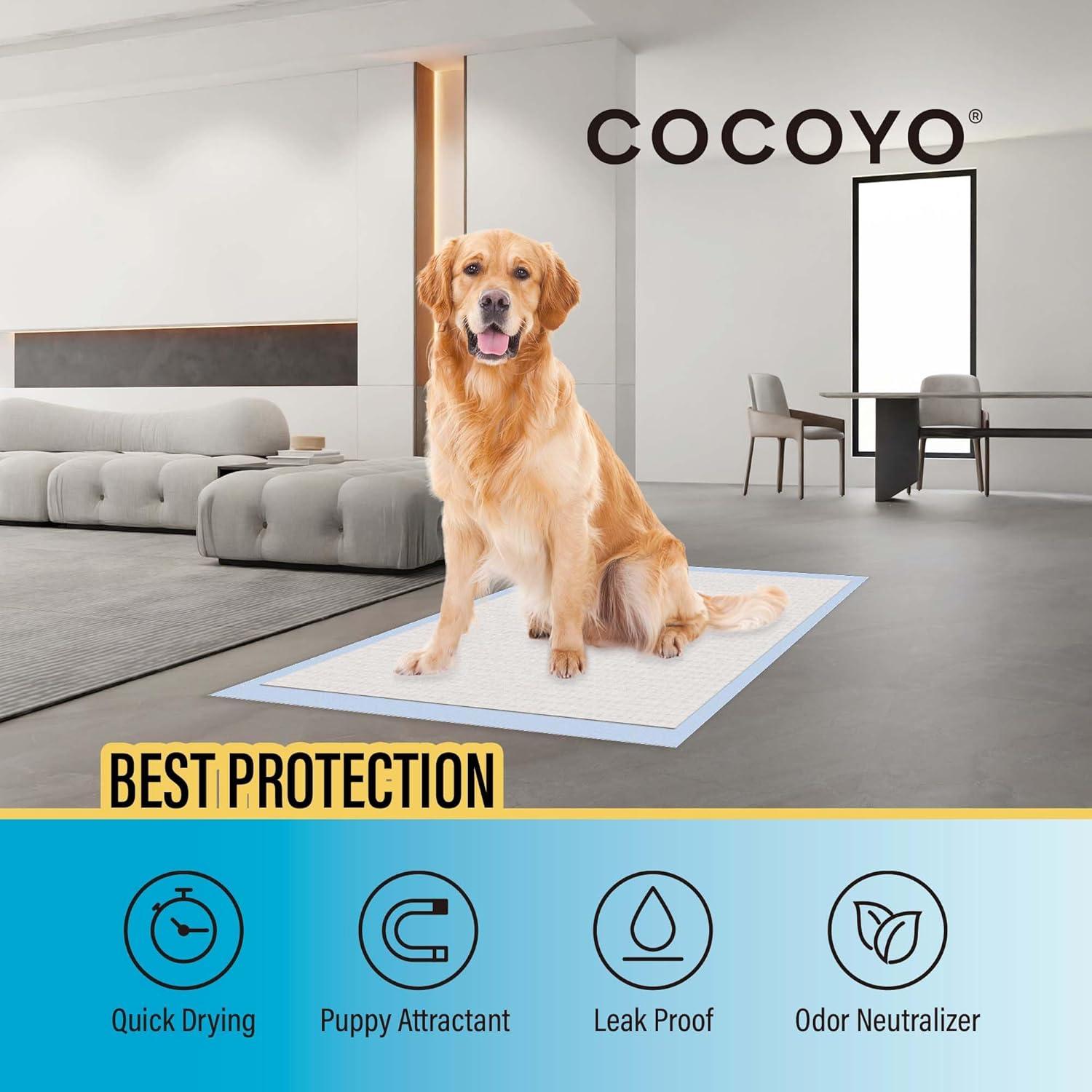 Cocoyo Best Value Training Pads 30 Count | Dog Pee Pads | Super Absorbent Puppy Pads,22"*22",Blue