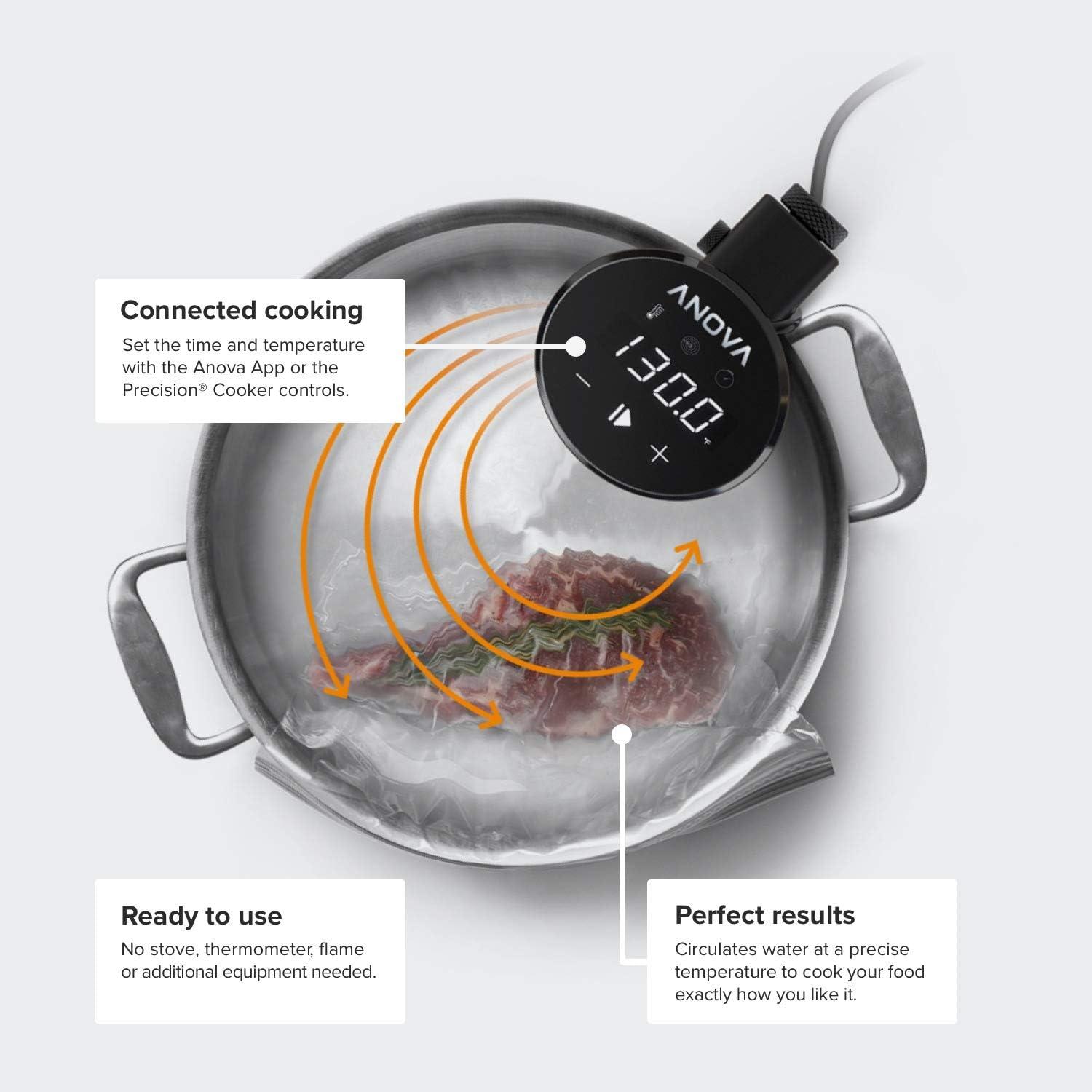 Anova Sous Vide Precision® Cooker Wifi | 1000W