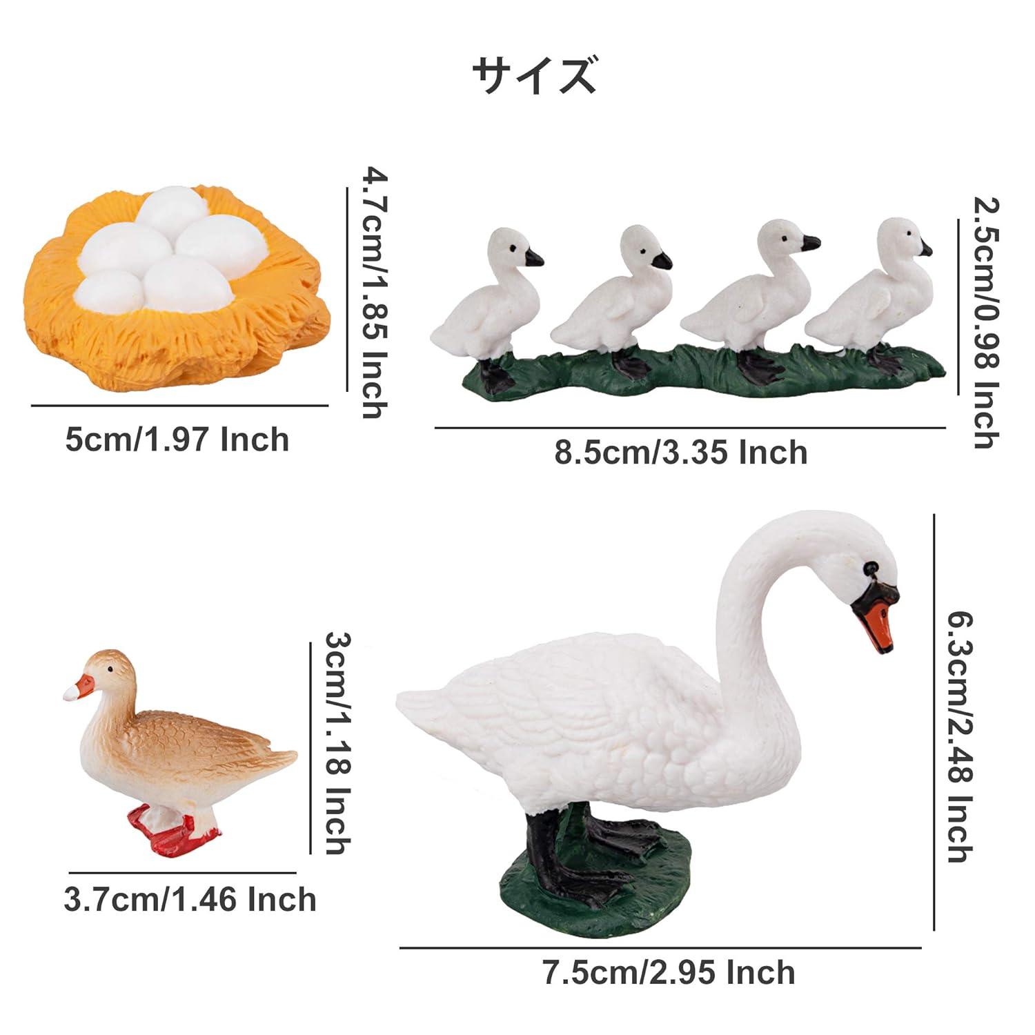 Toymany 16PCS Life Cycle of Goose White Swan Chicken Duck Farm Animals Figures, Plastic Safariology Growth Cycle Eggs Figurines Toy Kit School Project Cake Topper for Kids Toddlers