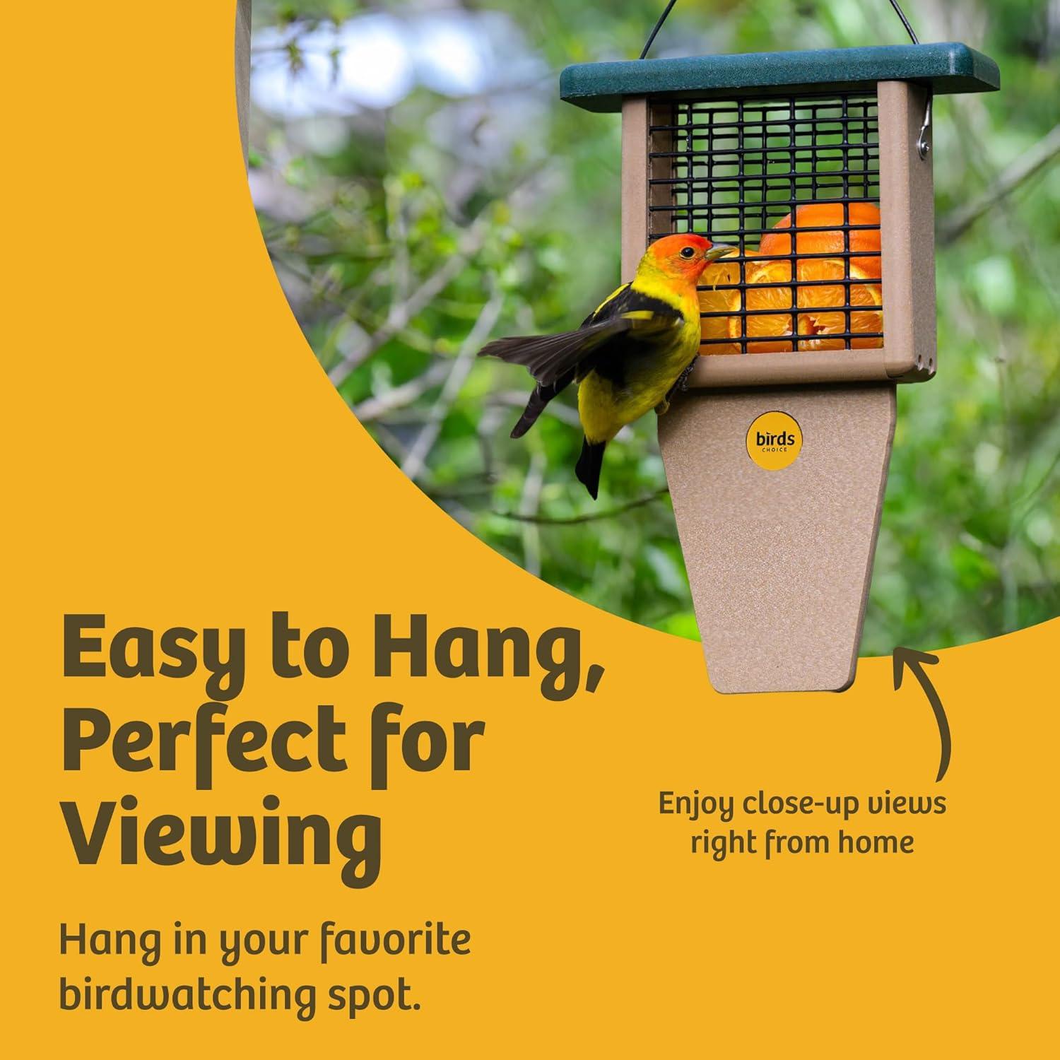 Birds Choice Birds Choice 12" Recycled Single Cake Tail Prop Suet Feeder, Taupe/Green