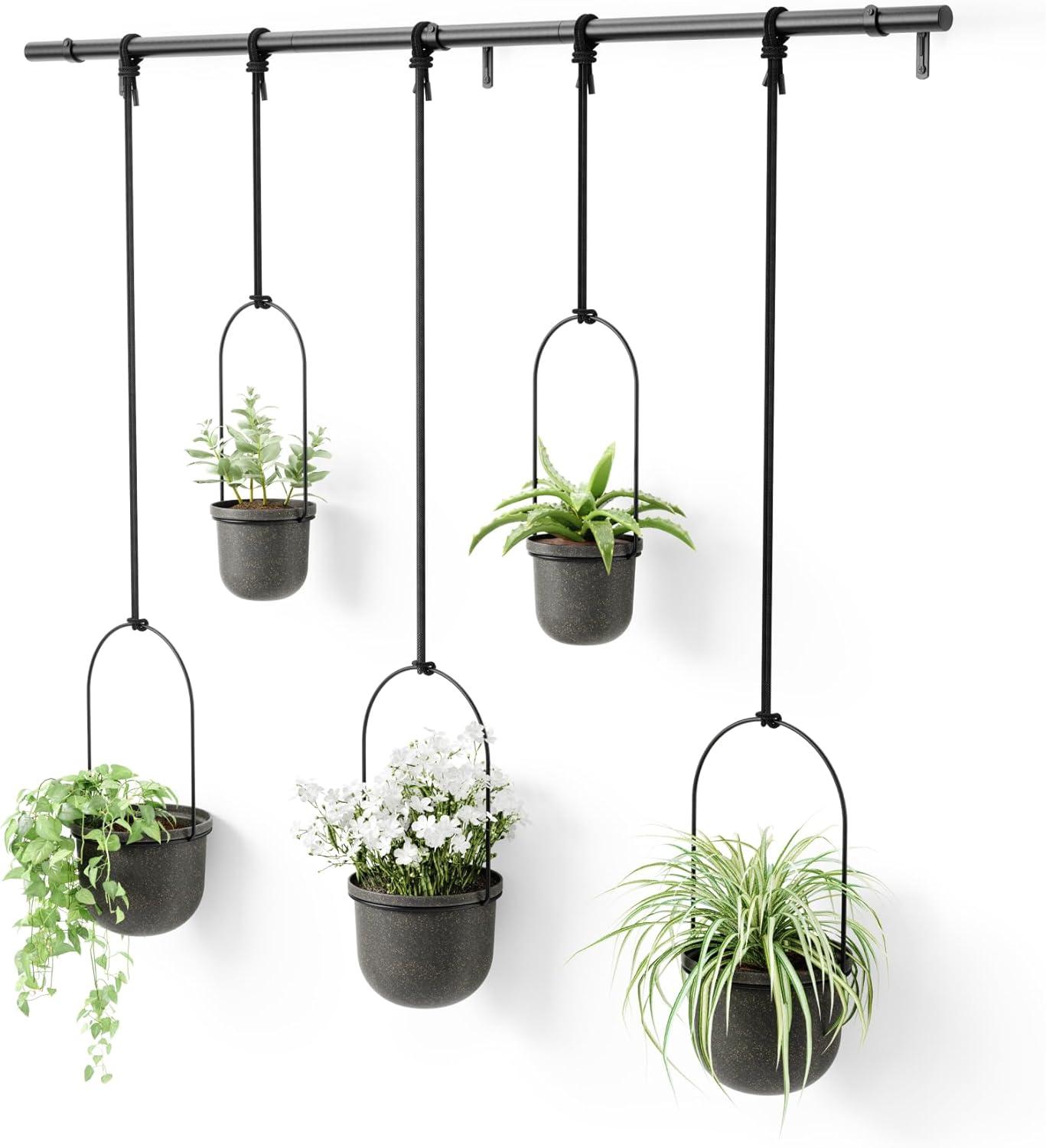 Triflora Large Hanging Planter