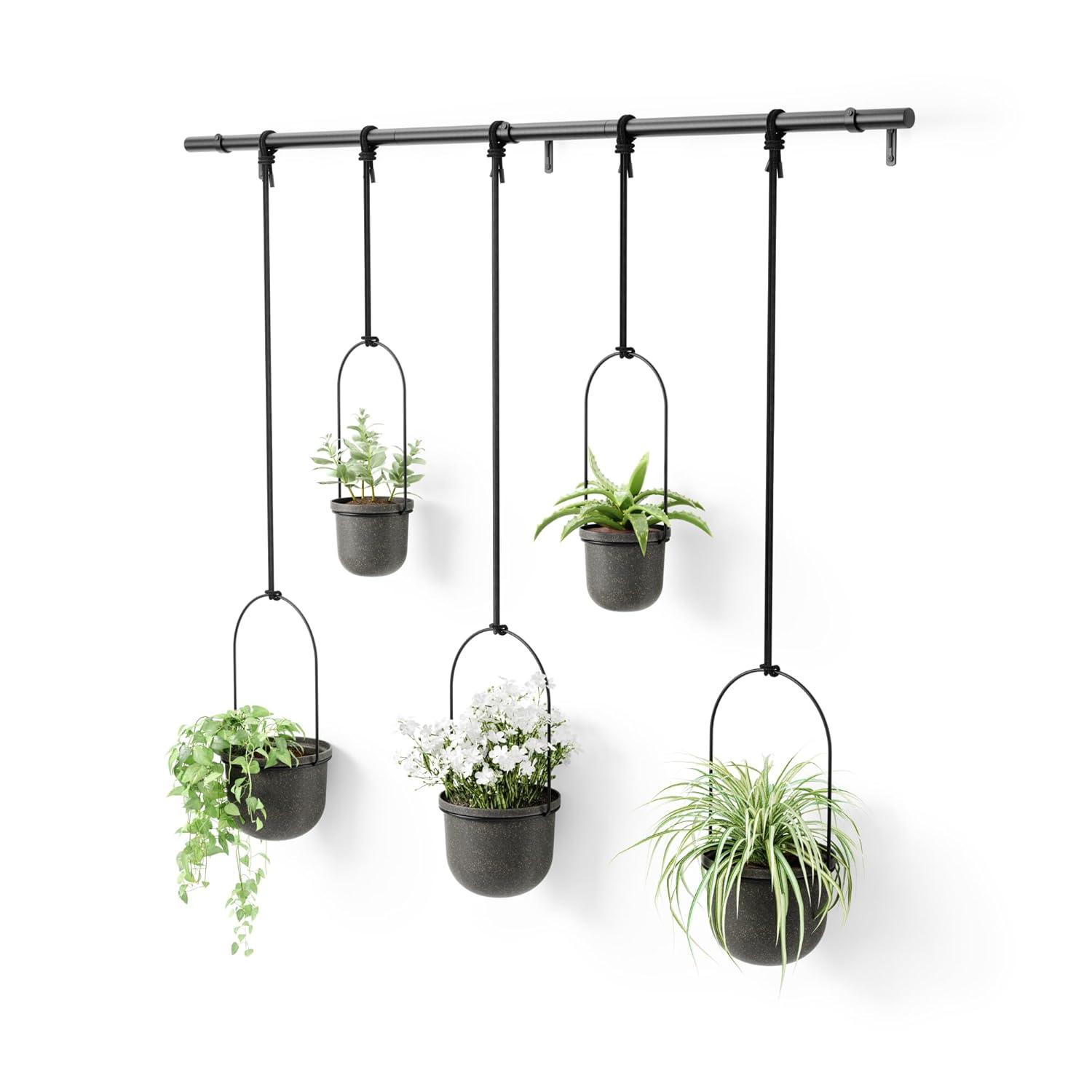 Triflora Large Hanging Planter
