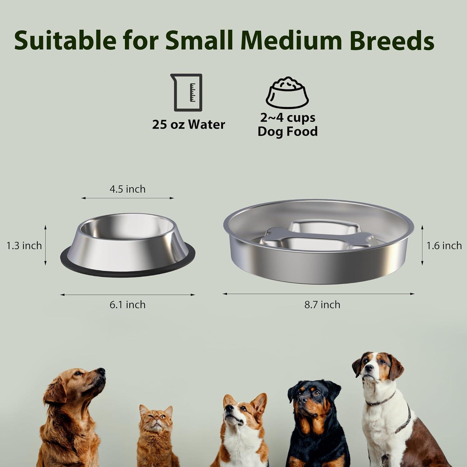 Stainless Steel Non-Slip Slow Feeder Dog Bowls Set