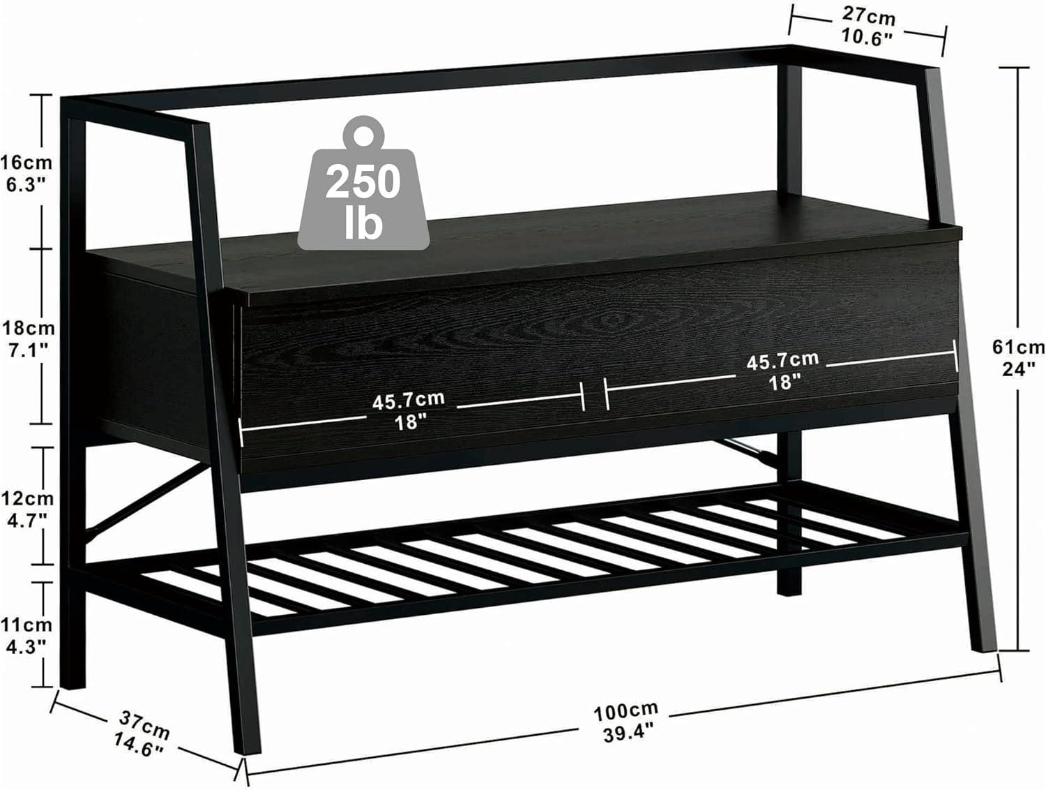 IRONCK Entryway Shoe Bench with Storage, 39.4inch Shoe Organizer Rack with Lift Top Box, Black