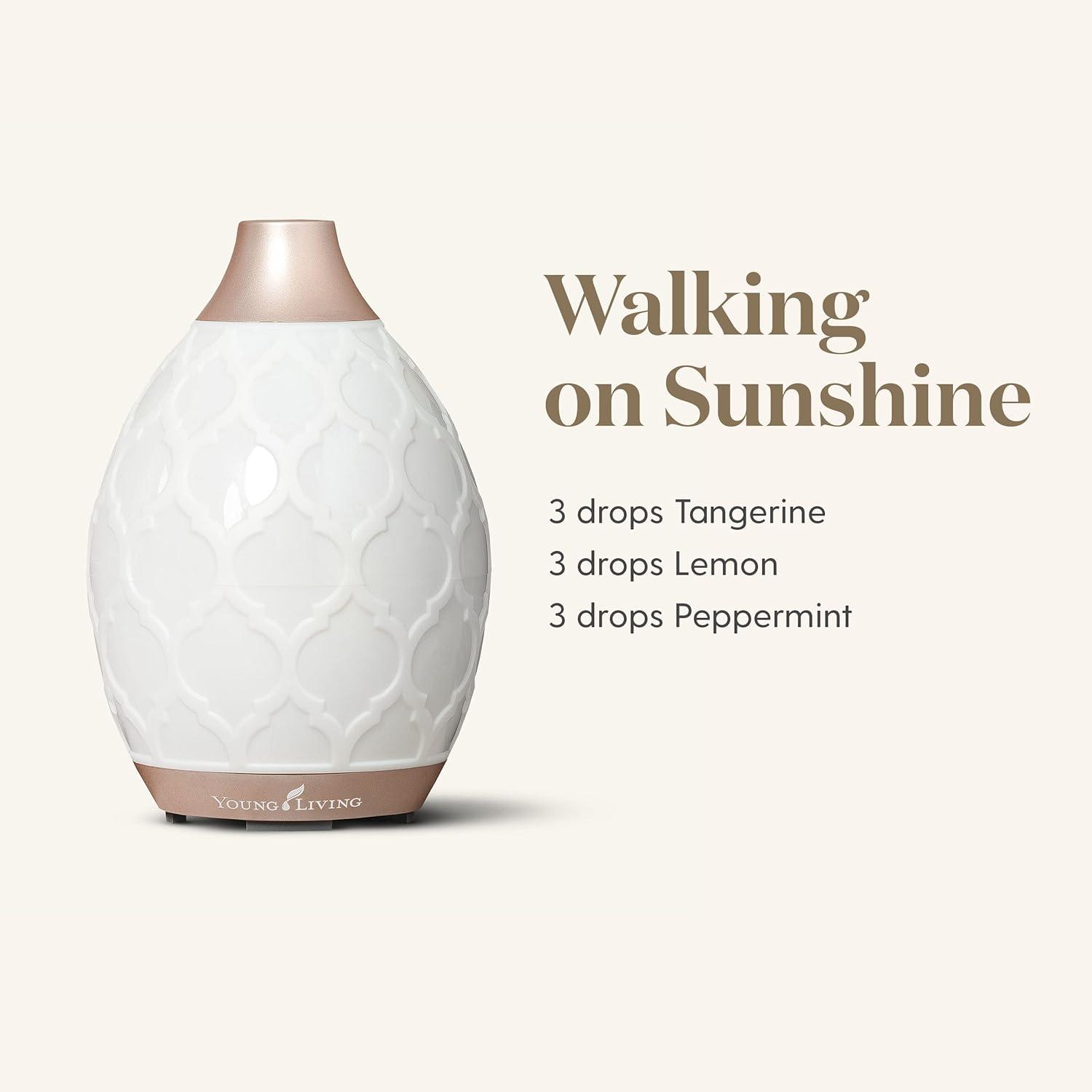 White and Rose Gold Oval Electric Aromatherapy Diffuser