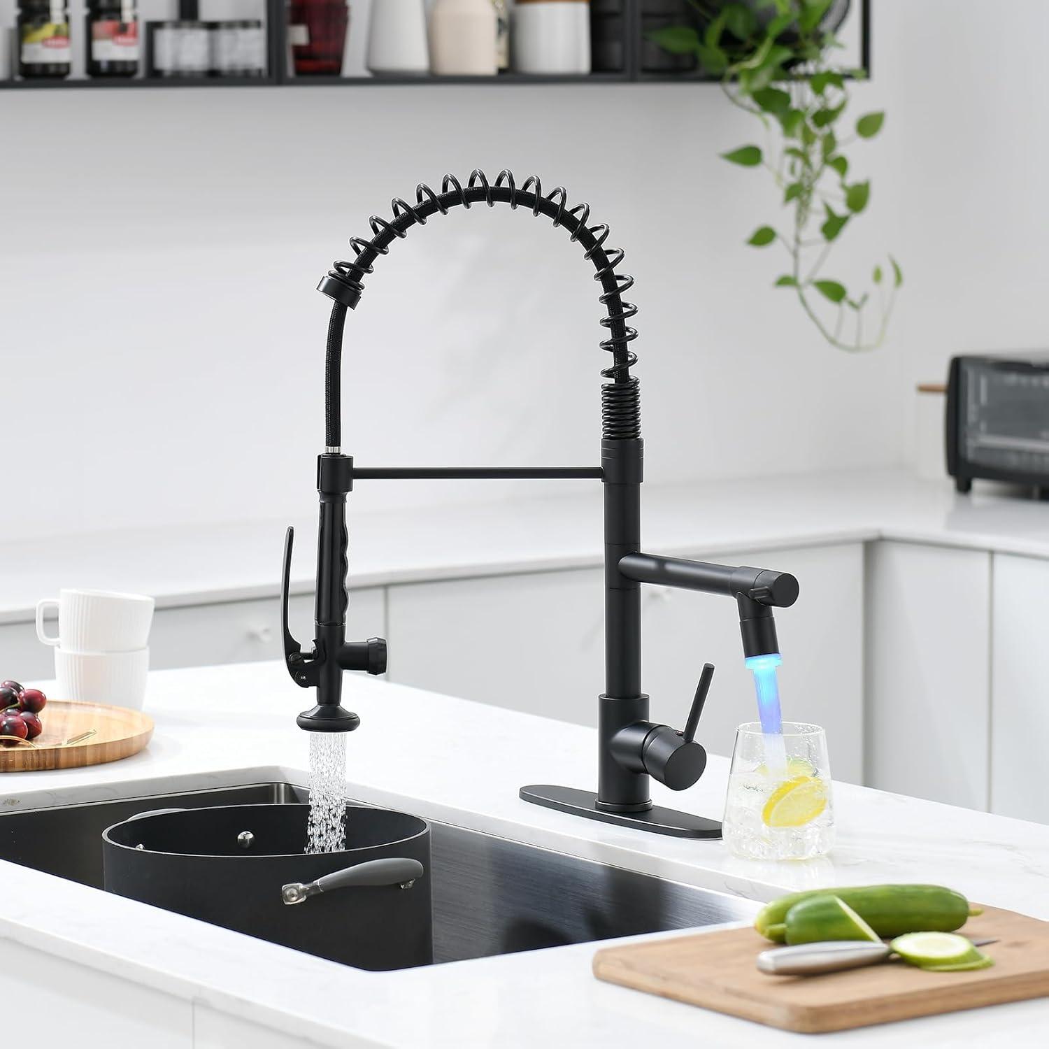 Fapully Pull Down Kitchen Faucet