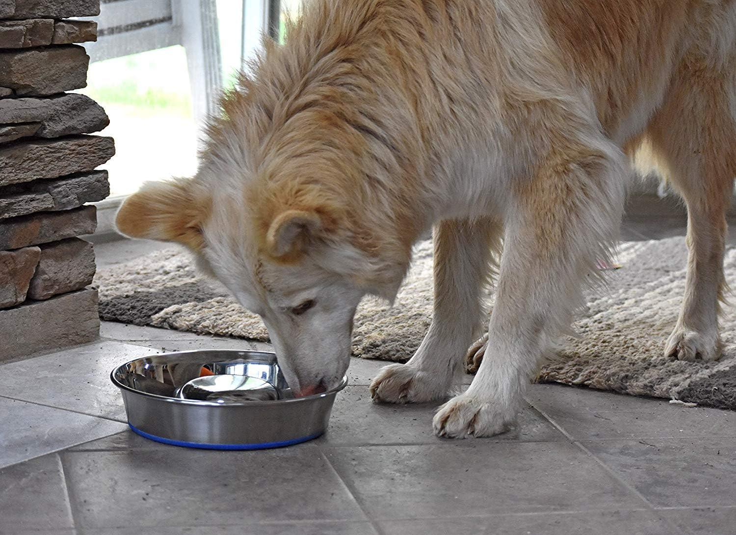 OurPets DuraPet Slow Feed Premium Stainless Steel Dog Bowl, Large (6.0 Cups), Silver