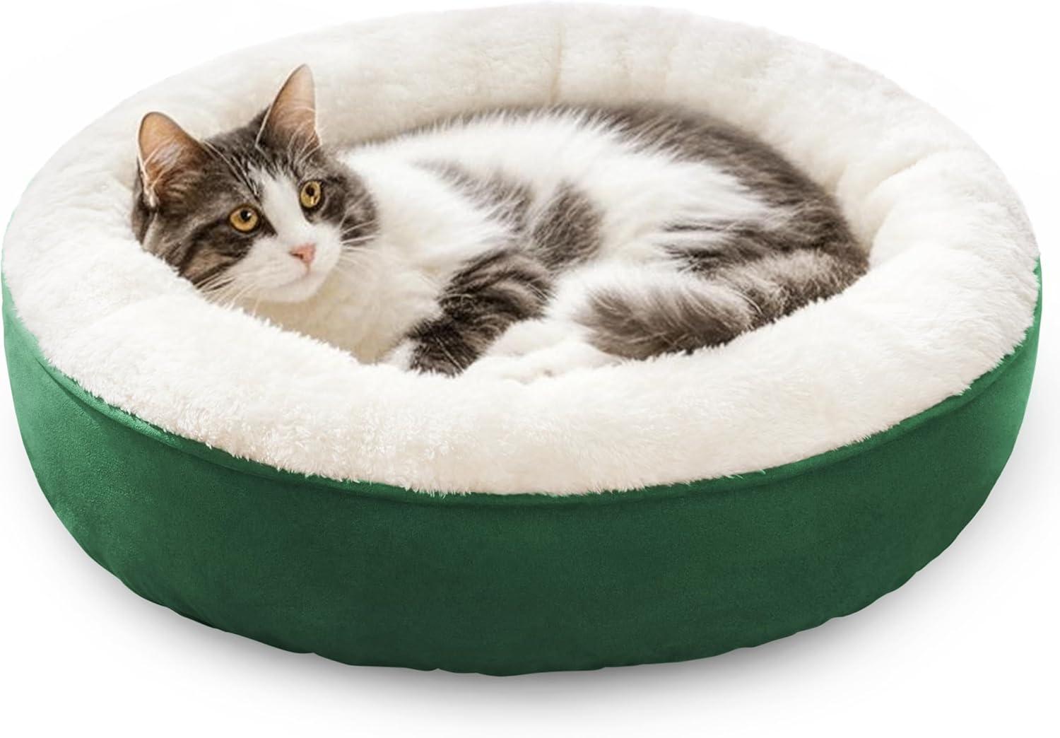 Archie & Oscar™ Round Donut Cat And Dog Cushion Bed, 20In Pet Bed For Cats Or Small Dogs, Anti-Slip & Water-Resistant Bottom, Super Soft Durable Fabric Pet Beds, Washable Luxury Cat & Dog Bed