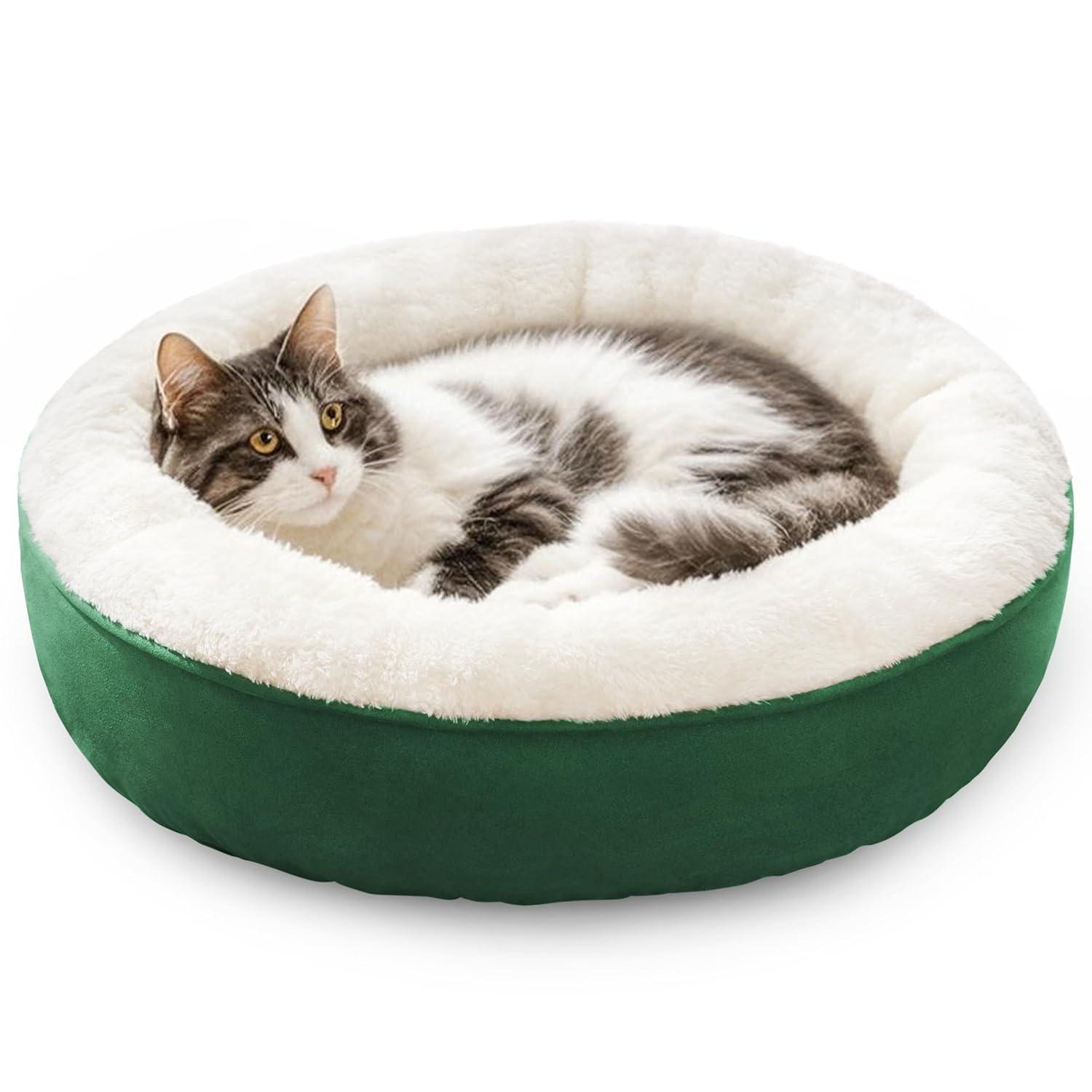 Archie & Oscar™ Round Donut Cat And Dog Cushion Bed, 20In Pet Bed For Cats Or Small Dogs, Anti-Slip & Water-Resistant Bottom, Super Soft Durable Fabric Pet Beds, Washable Luxury Cat & Dog Bed