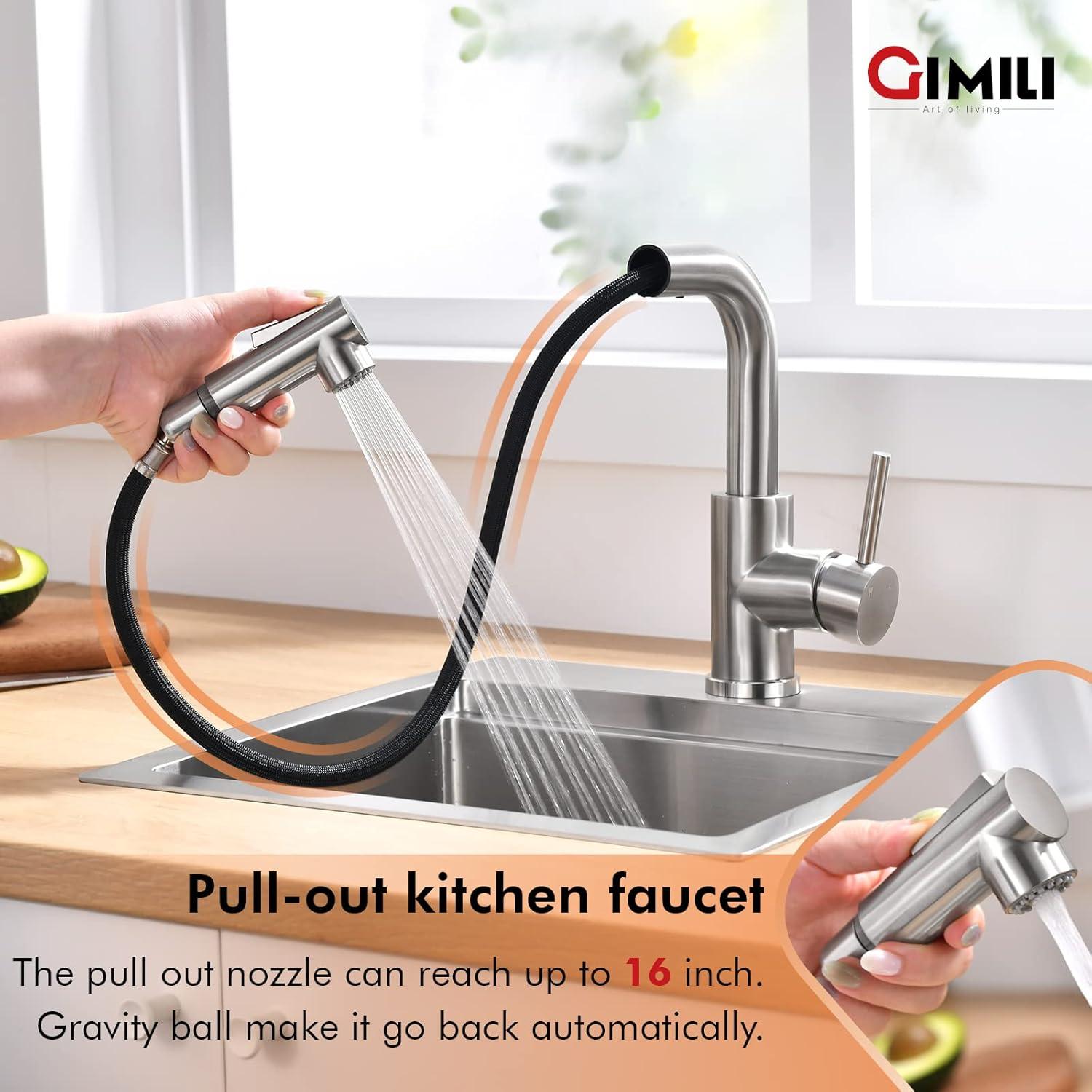 Brushed Nickel Single Handle Pull-Out Spray Kitchen Faucet