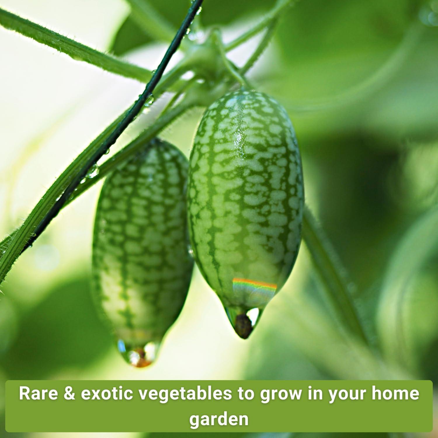 Exotic Vegetable Garden Seed Collection - Non GMO Varieties - 10 Count