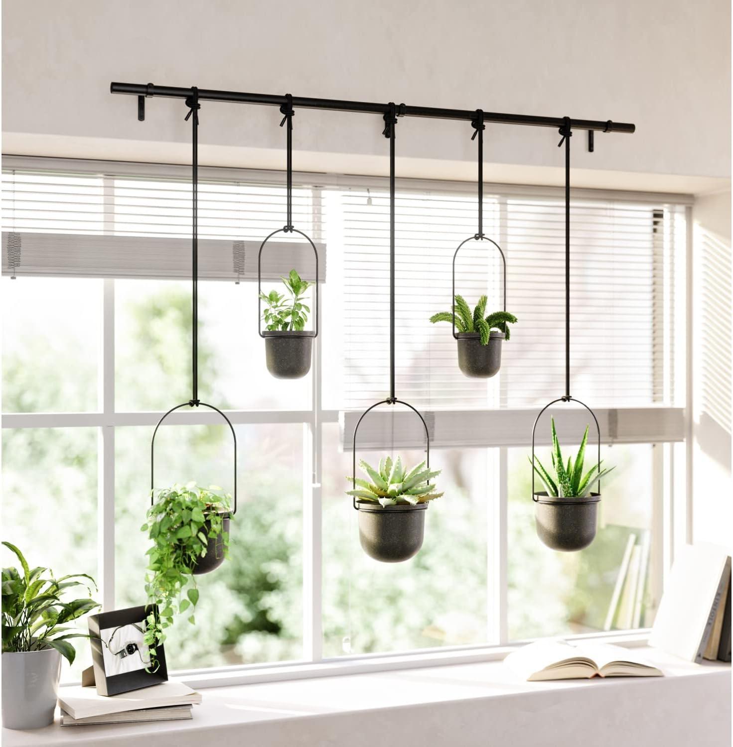 Hanging Planter