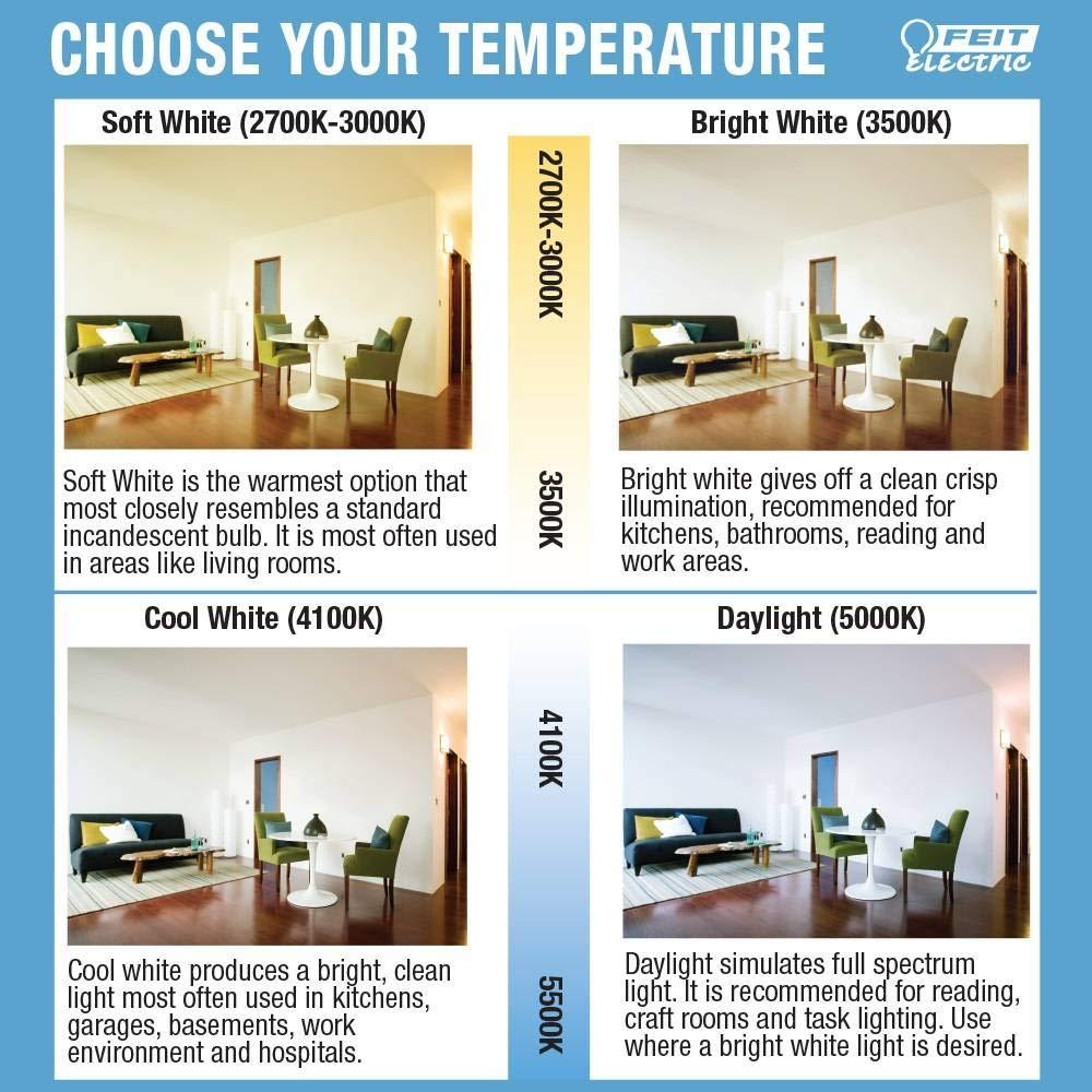 White Frosted Globe LED Light Bulb, 4.3" x 3.1"