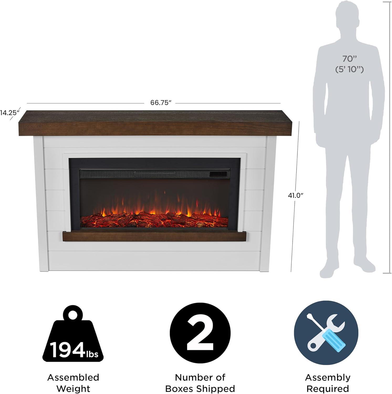 Bernice 65" Landscape Electric Fireplace by Real Flame