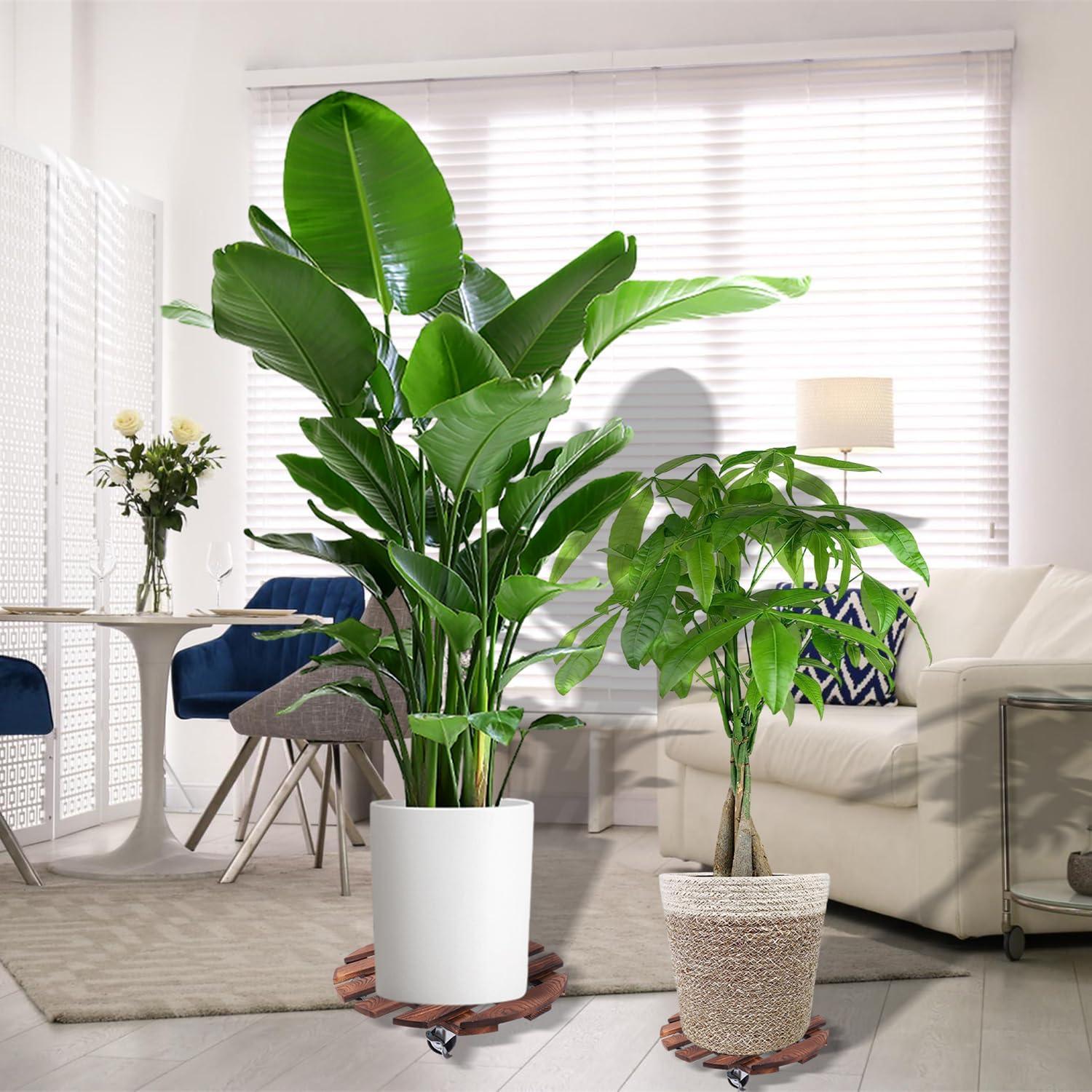 BUSATIA 2pack 12" Plant Caddy Plant Stand with Wheels,Rolling Plant Stand Heavy Duty Wooden Round Plant Dolly Rollers with 360°Metal Lockable Casters Indoor Outdoor Pot Plant Roller Base Caddies