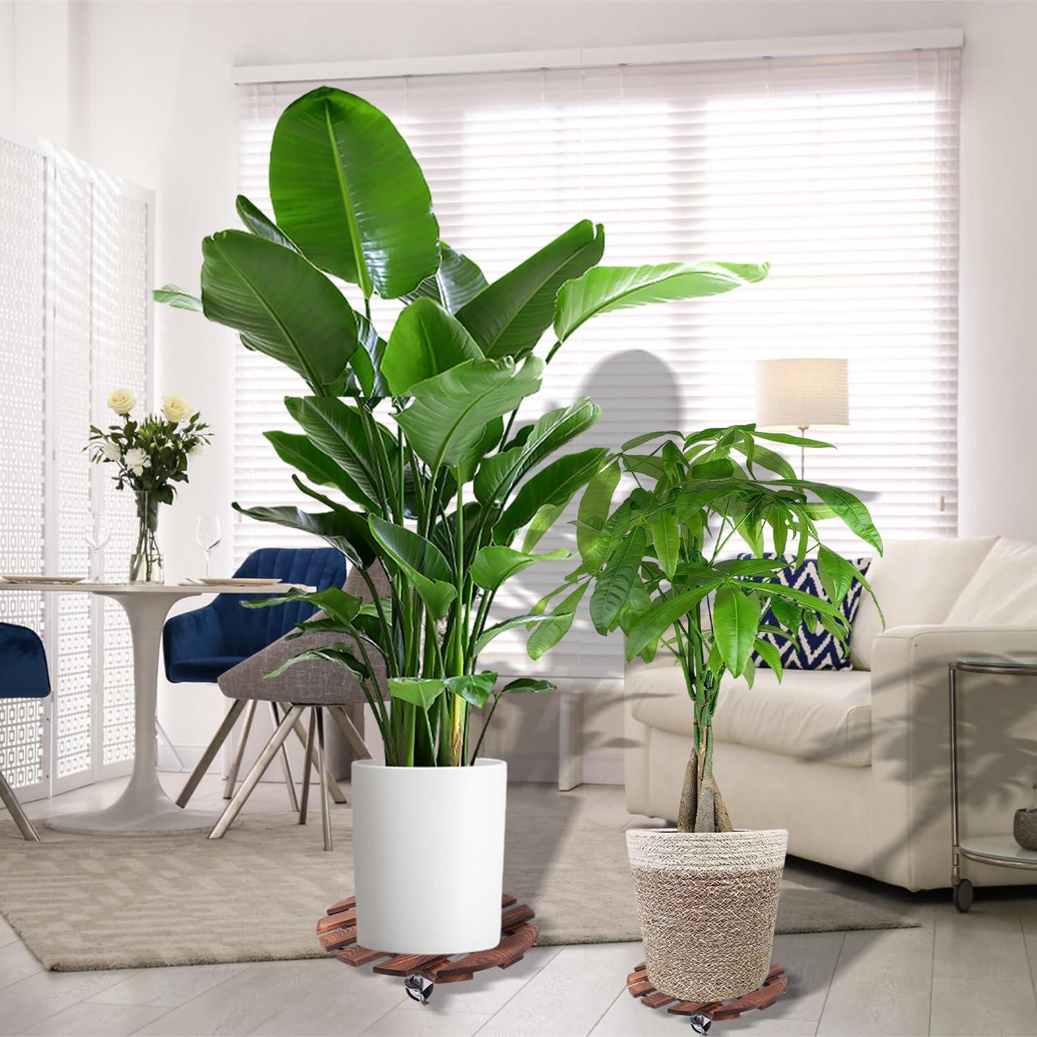 BUSATIA 2pack 12" Plant Caddy Plant Stand with Wheels,Rolling Plant Stand Heavy Duty Wooden Round Plant Dolly Rollers with 360°Metal Lockable Casters Indoor Outdoor Pot Plant Roller Base Caddies