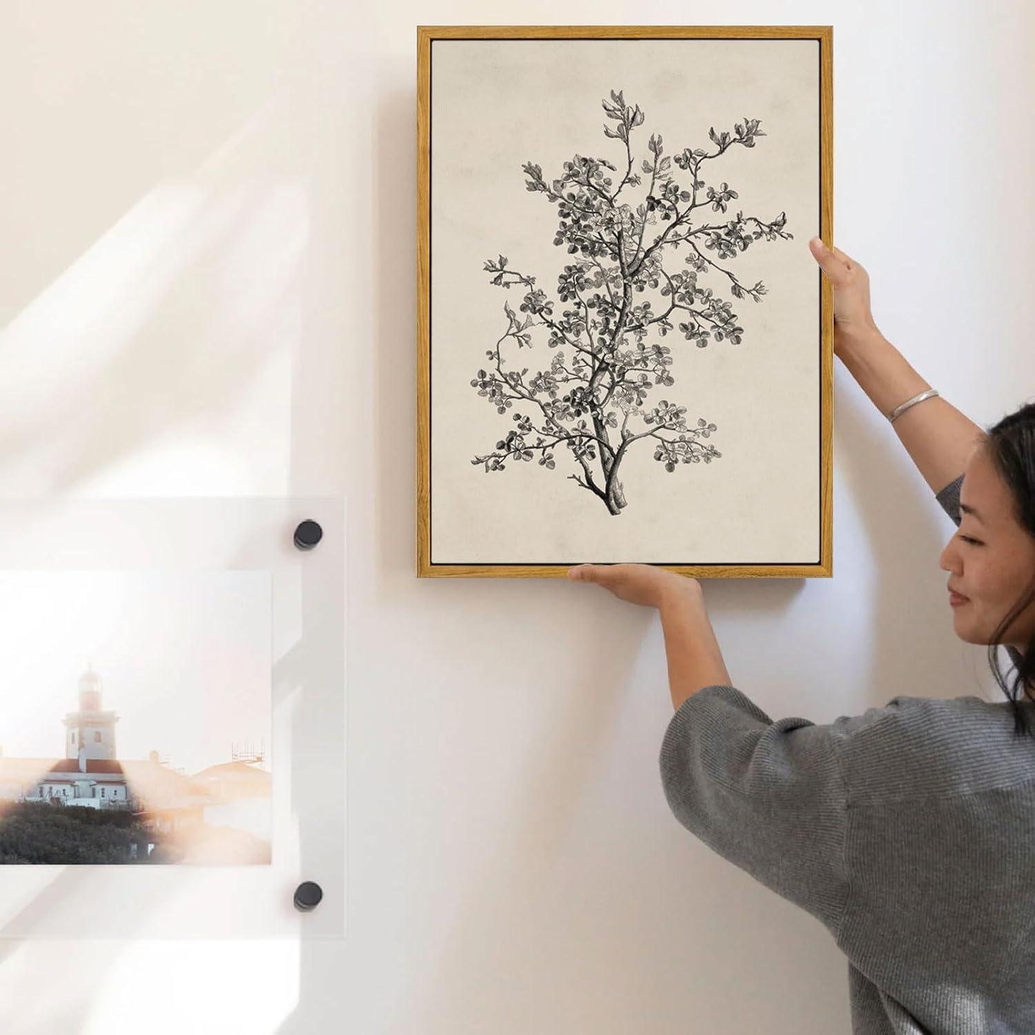 Vintage Botanical Wall Art Prints - Black and White Sketch Art Decor - Antique Pictures and Rustic Paintings for Living Room Bedroom - 12"x16" Unframed