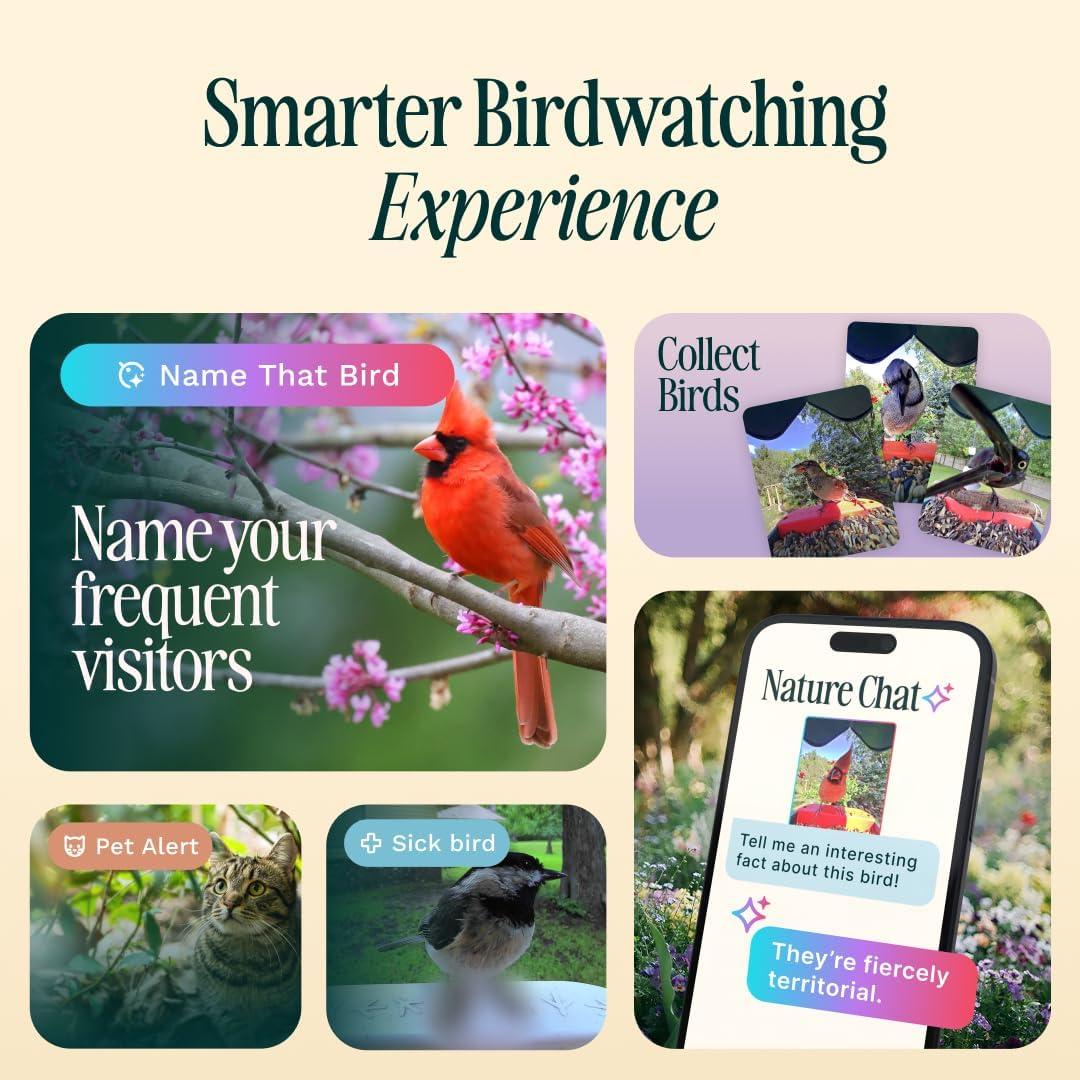 Bird Buddy Smart Bird Feeder with Camera and Solar Roof: Weather-Resistant, Hanging or Pole Mount