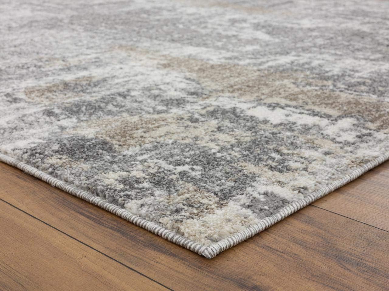 Seren Abstract Gray Area Rug