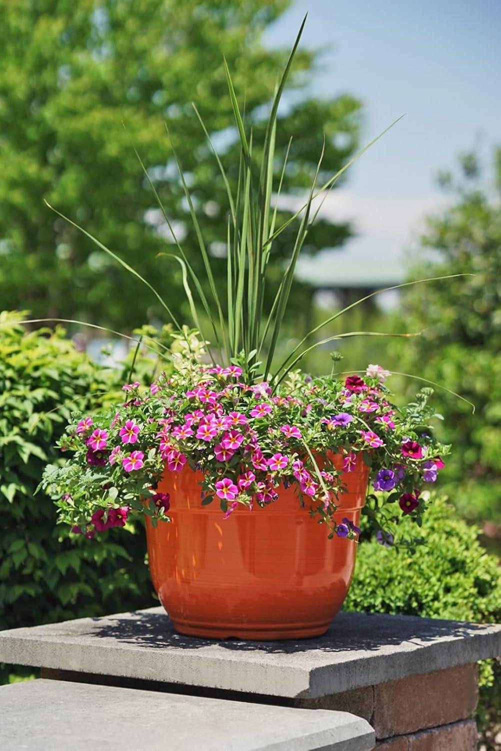 Garden Elements Indoor/Outdoor Glazed Brushed Happy Plastic Planter, Large, Bright Pink, 15"