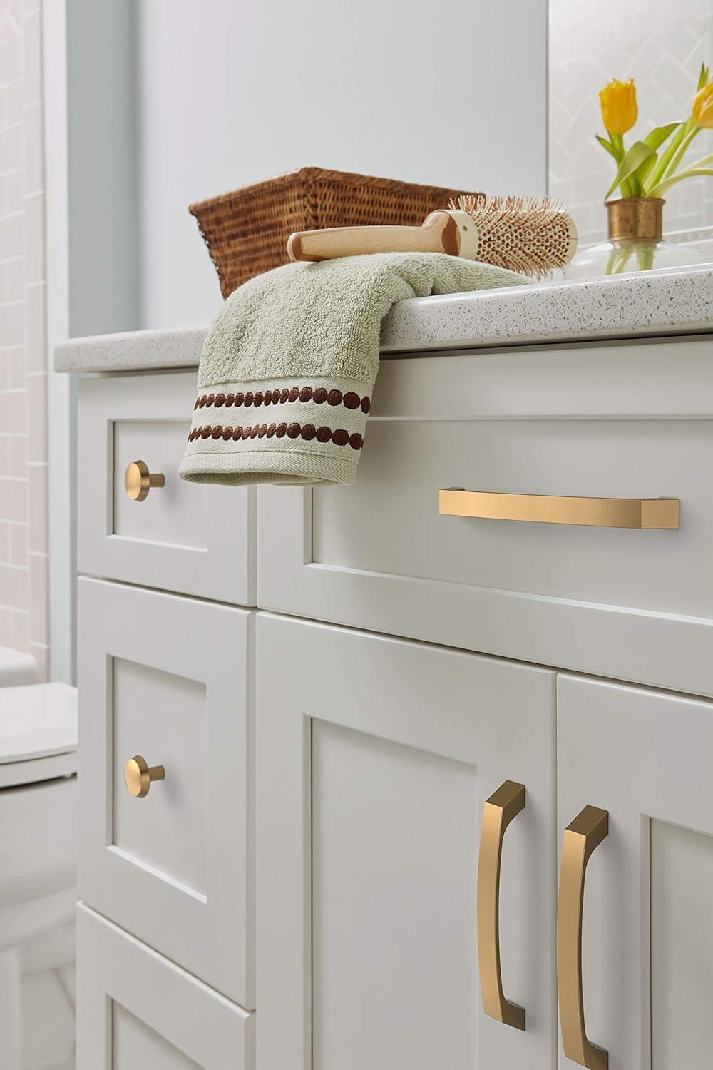 Amerock Premise Cabinet and Drawer Pull