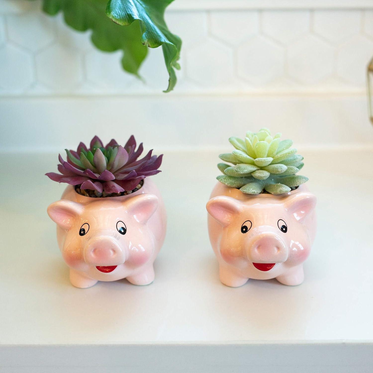 Flora Bunda Set of 2 Artificial Succulents in Pink Ceramic Pig Planters