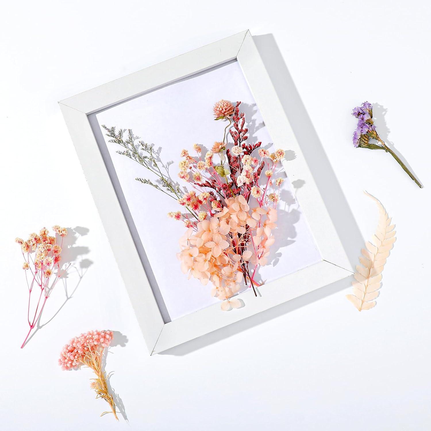 Yoloke DIY Dried Flowers Craft Kit - Natural Assorted Dried Florals for Making Everlasting Valentine's Day Gifts, Unique Design, Perfect for Framing & Creative Decor