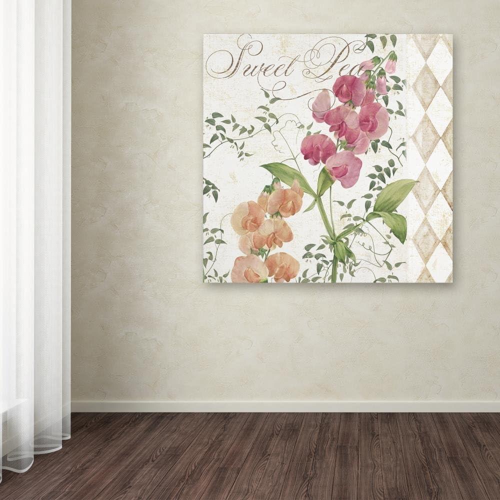 Trademark Fine Art "Sweet Pea" Canvas Art by Color Bakery